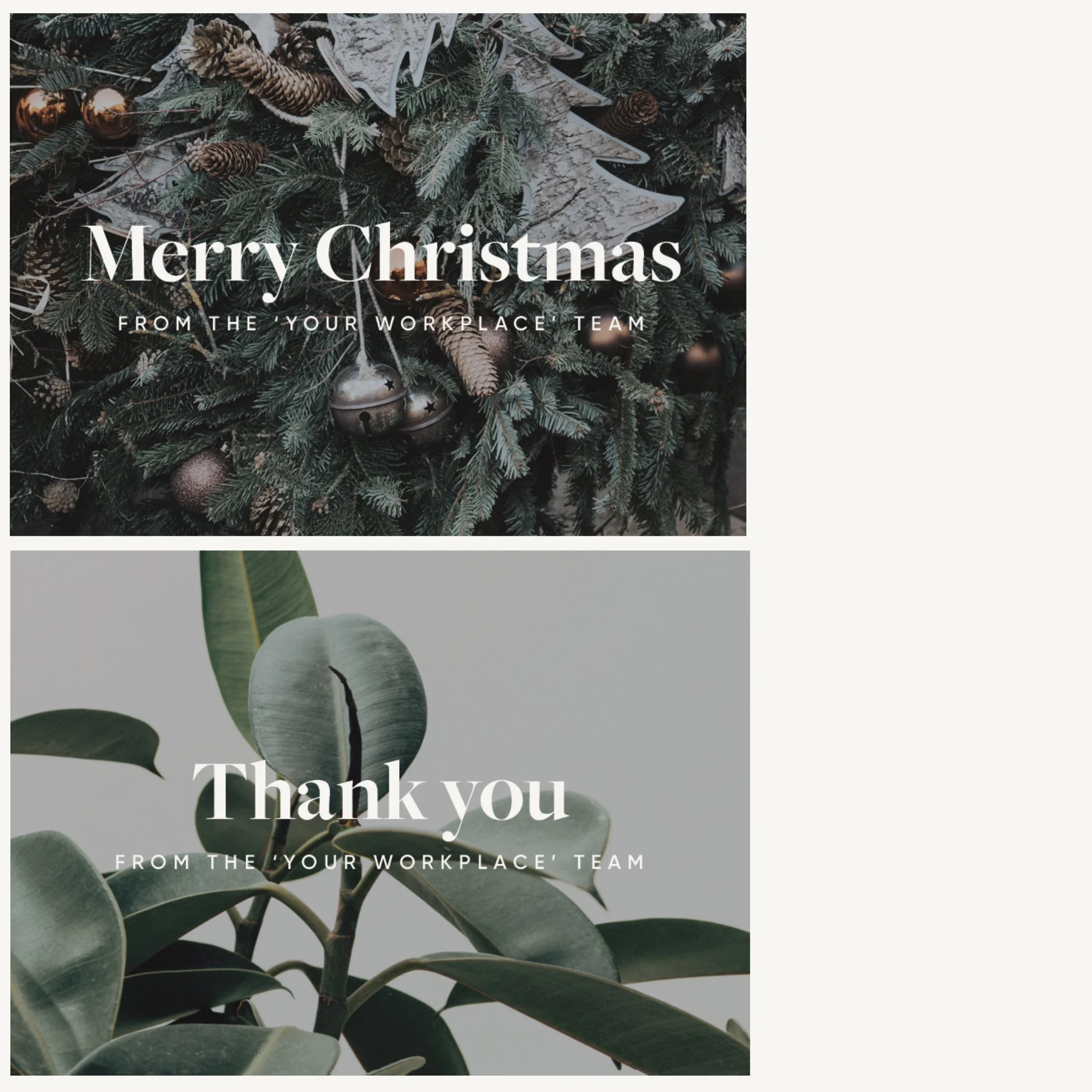 Melbourne corporate gift service sustainable plant gifts for your Melbourne clients and staff. Corporate Christams gifts Melbourne.