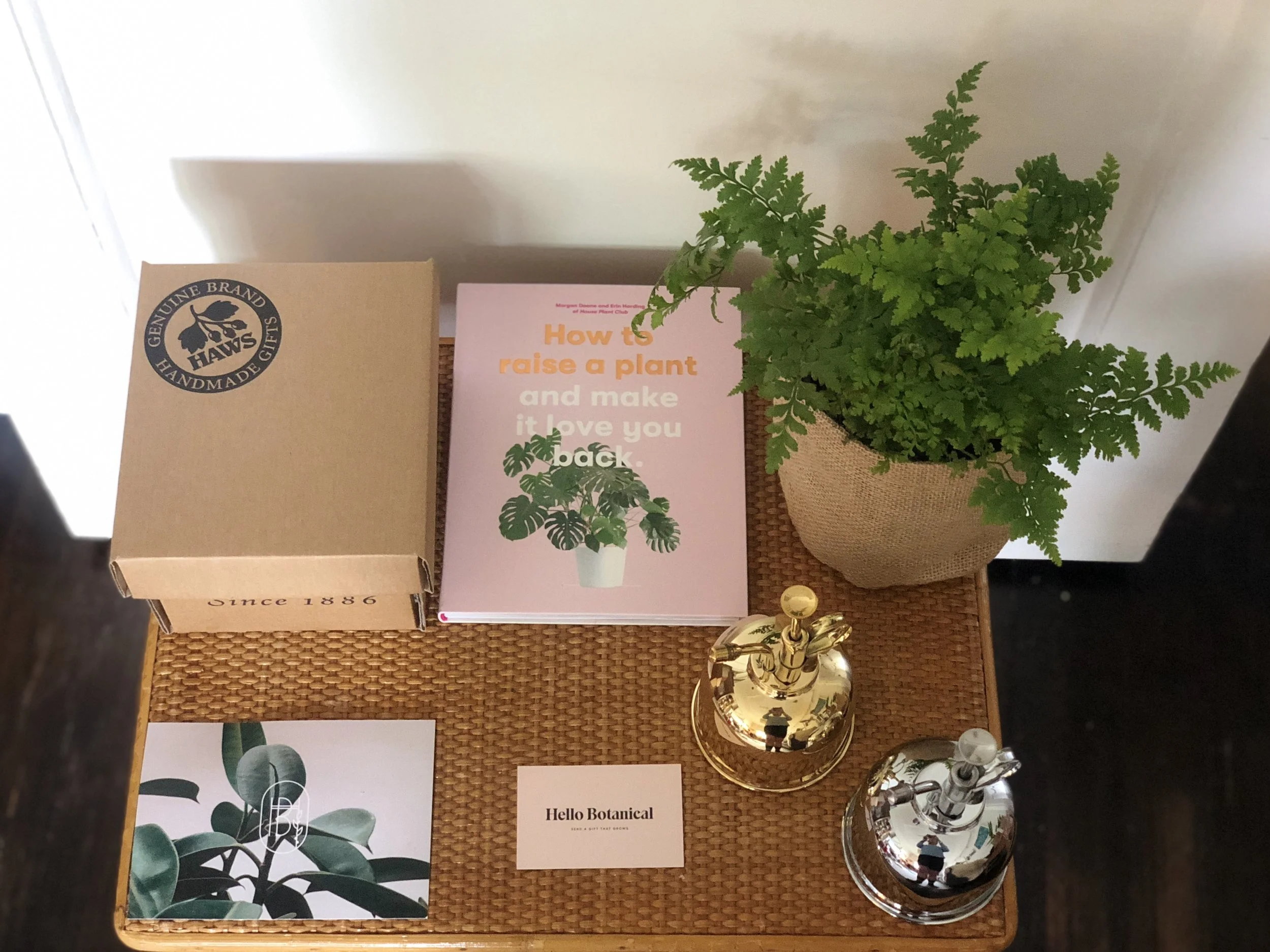 how-to-raise-plant-book-misters-fern2.jpg