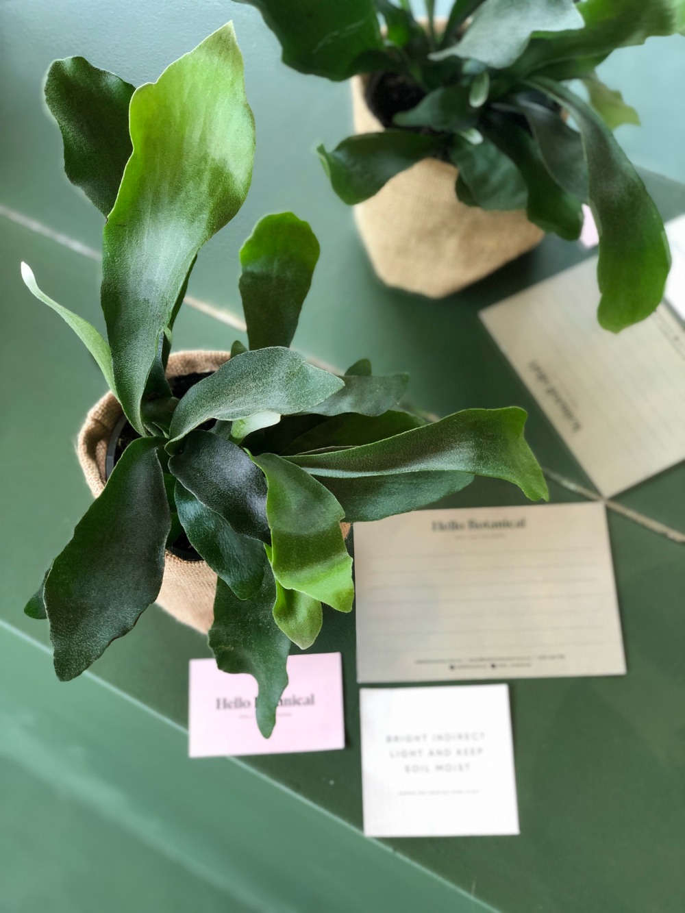 melbourne same day gift delivery service