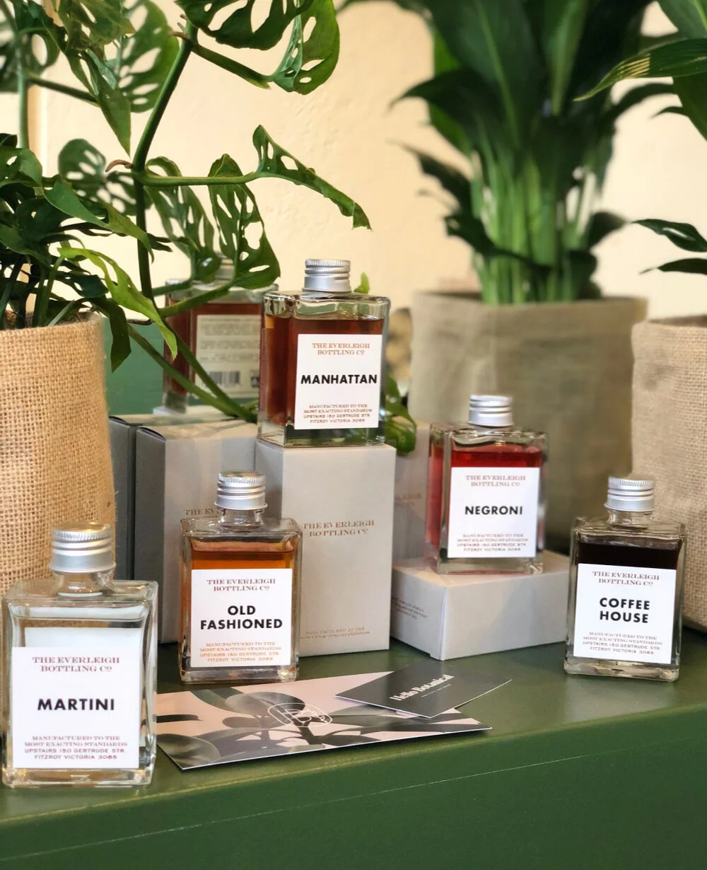 Same Day Melbourne Gift Delivery Service Geelong Gift Delivery Indoor Plant Gifts Delivered