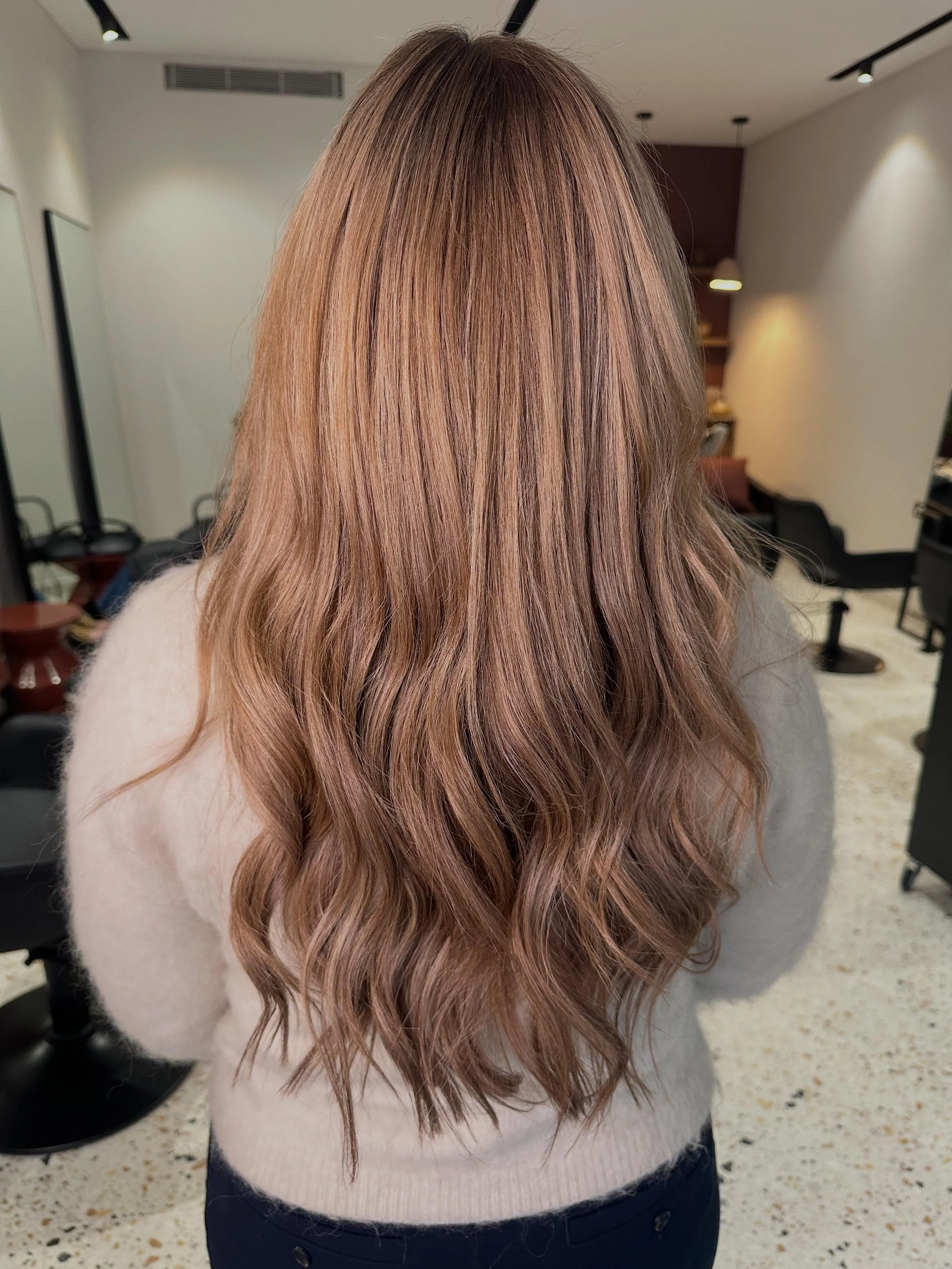 Day to day favourites  (2).jpg