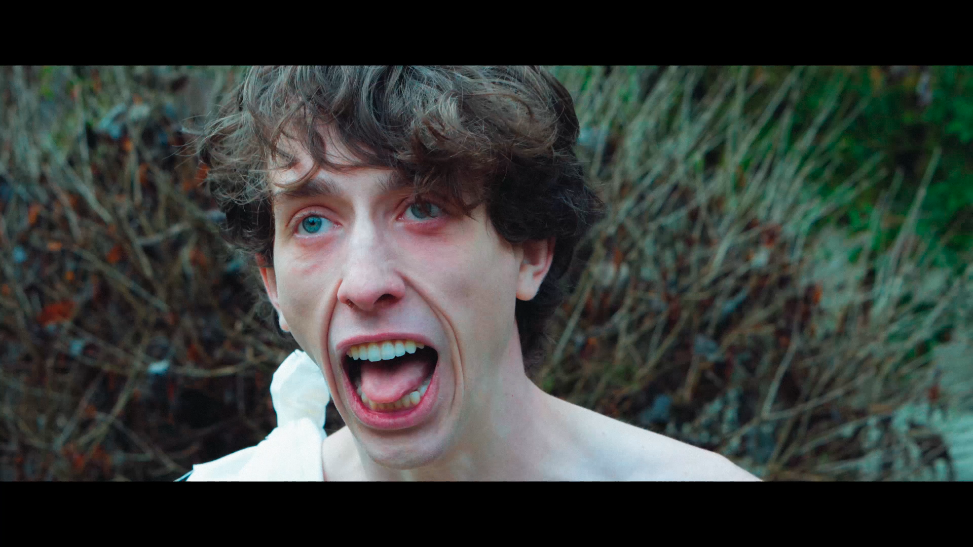 Screen Shot 2025-04-30 at 11.28.52 PM.png