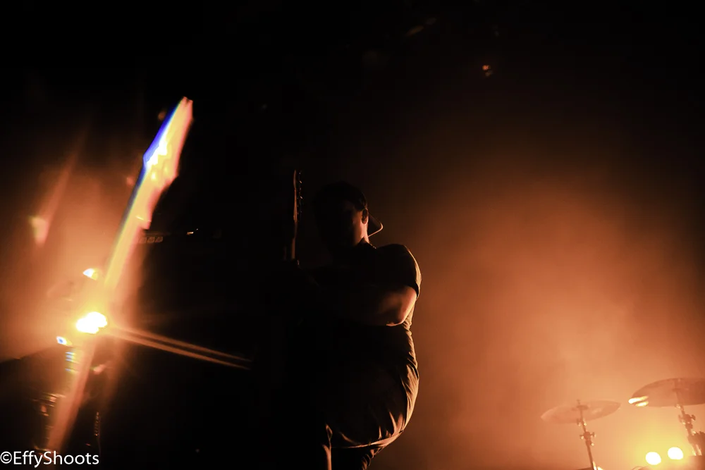 TWY83 (1 of 1).JPG