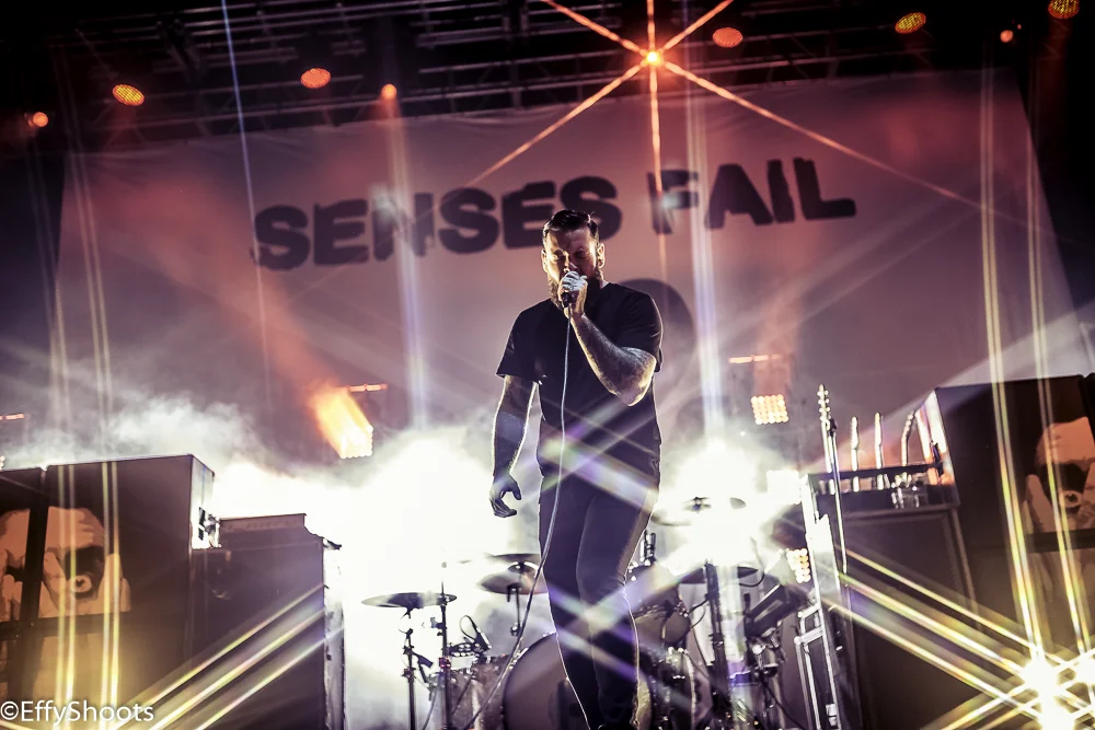 SF2(300p) (1 of 1).JPG