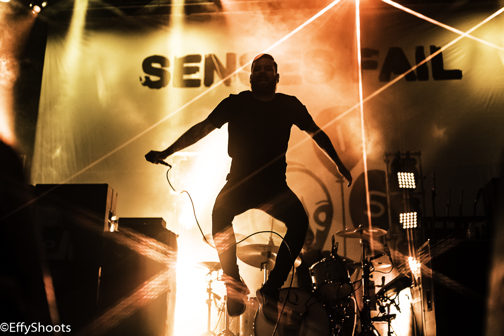 SF1(300p) (1 of 1).JPG