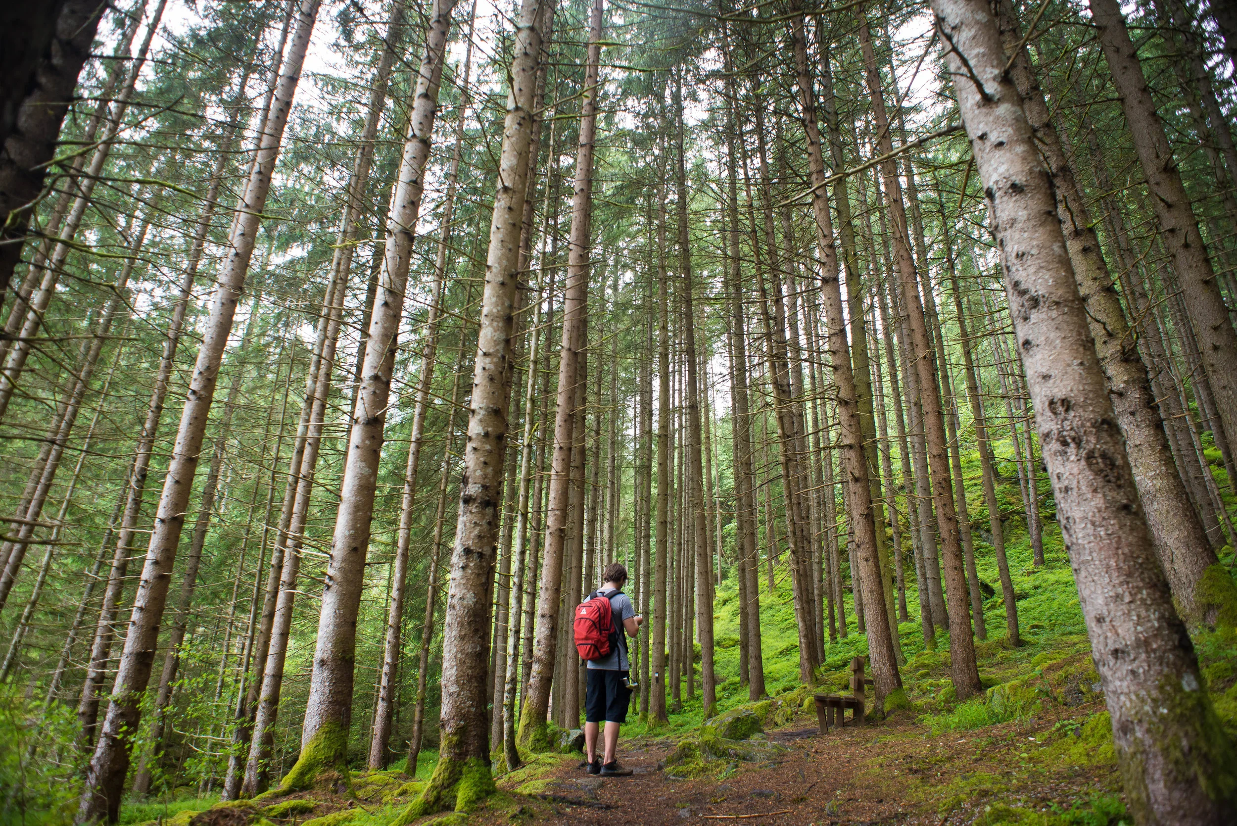 ©RNicolardi Otztal_9353.jpg