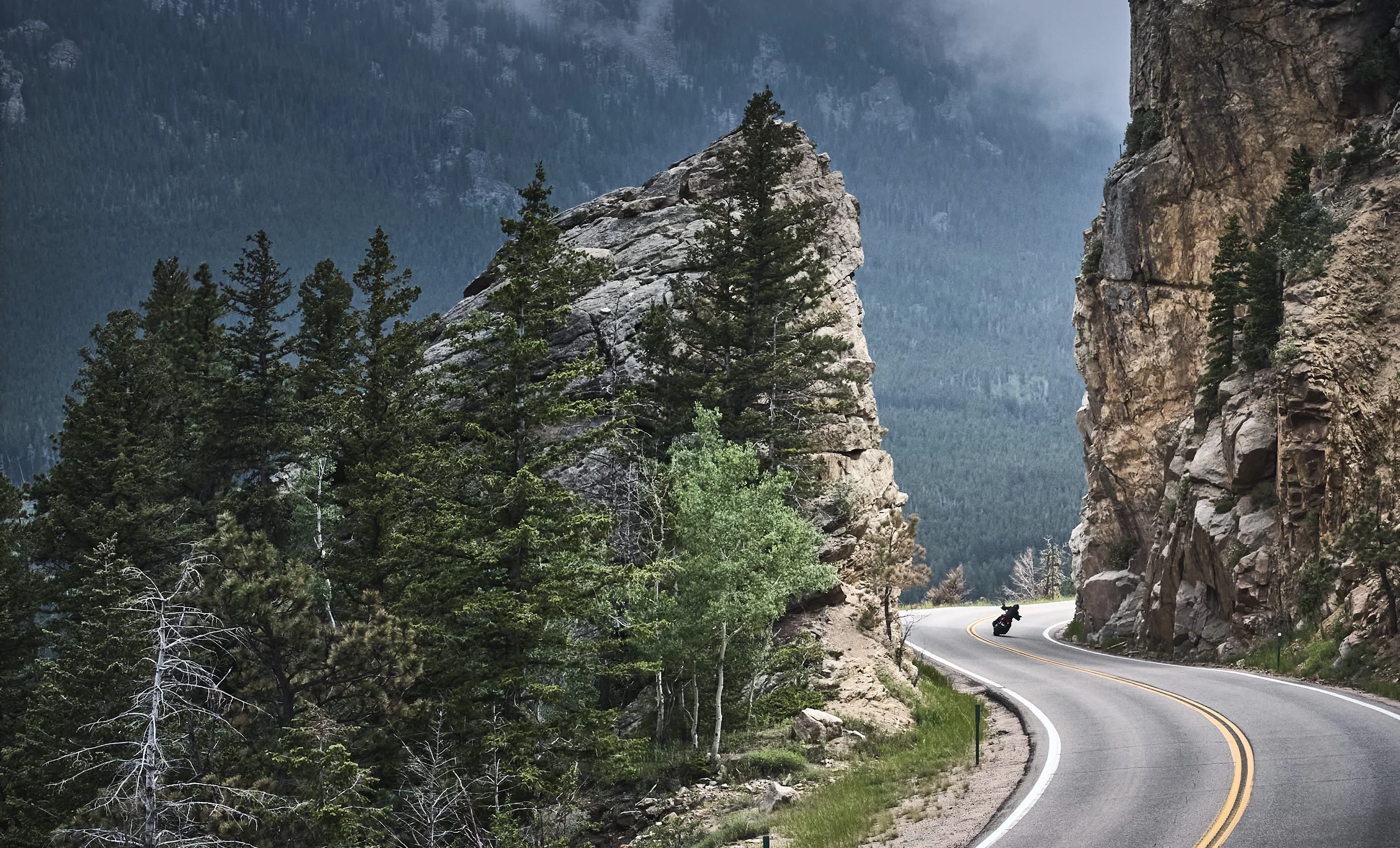 25012 Ducati Diavel 2003.jpg