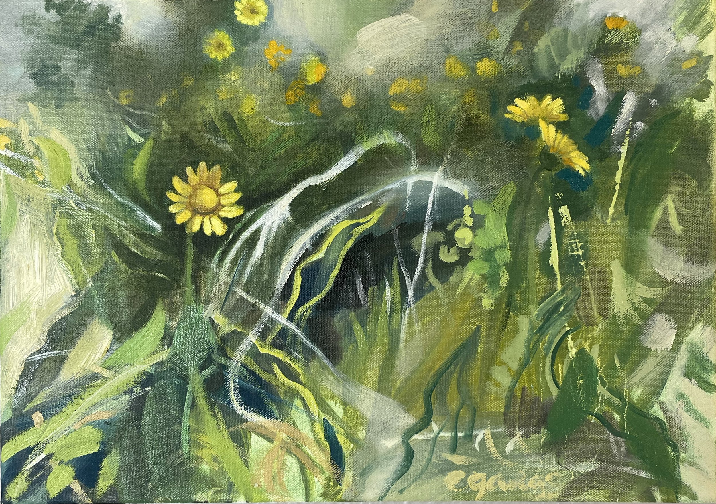 stephenswildflowers copy.jpg