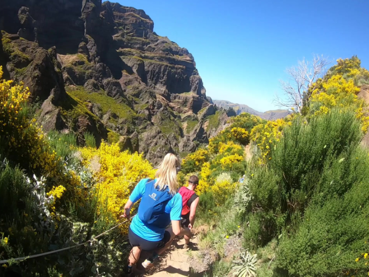 On our way to Pico Ruivo along the steep trails