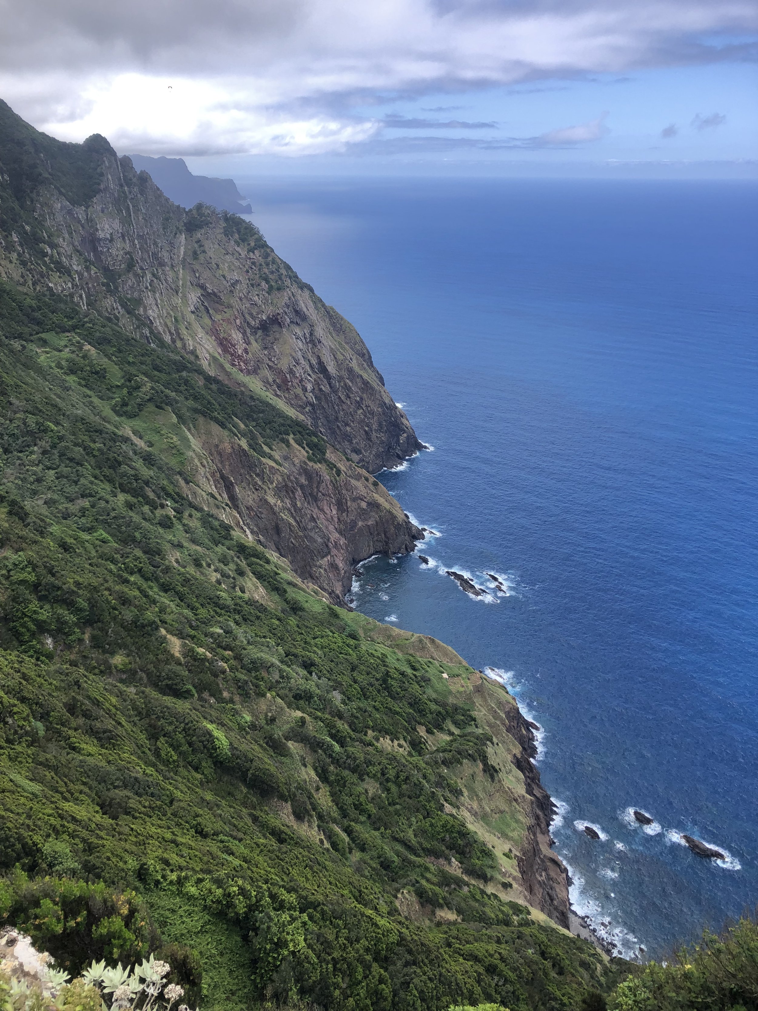 Madeira Views.jpg