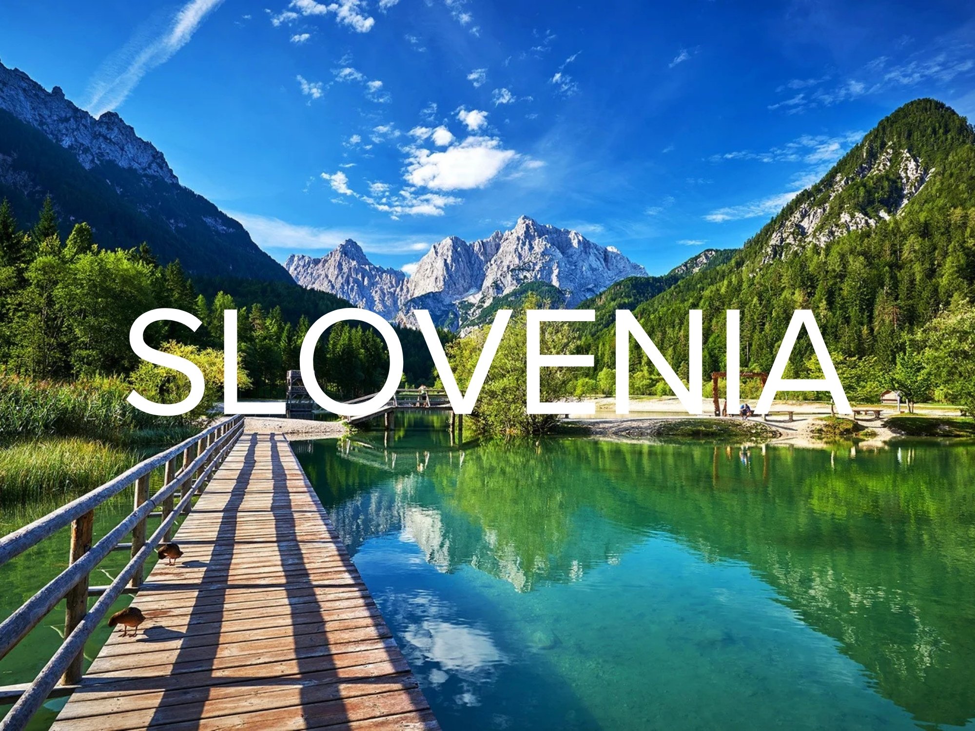 SLOVENIA.jpg