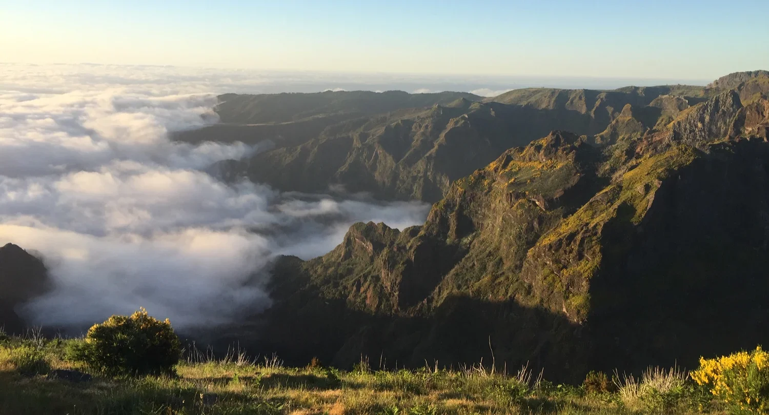 Madeira Pico.webp