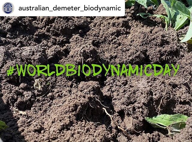 Happy BD Day 🎉 Did you know that the Australian National Standard for Organic includes the requirements for Biodynamics ?@australian_demeter_biodynamic Posted @withregram &bull; @australian_demeter_biodynamic #worldbiodynamicday is today! 
As Austra