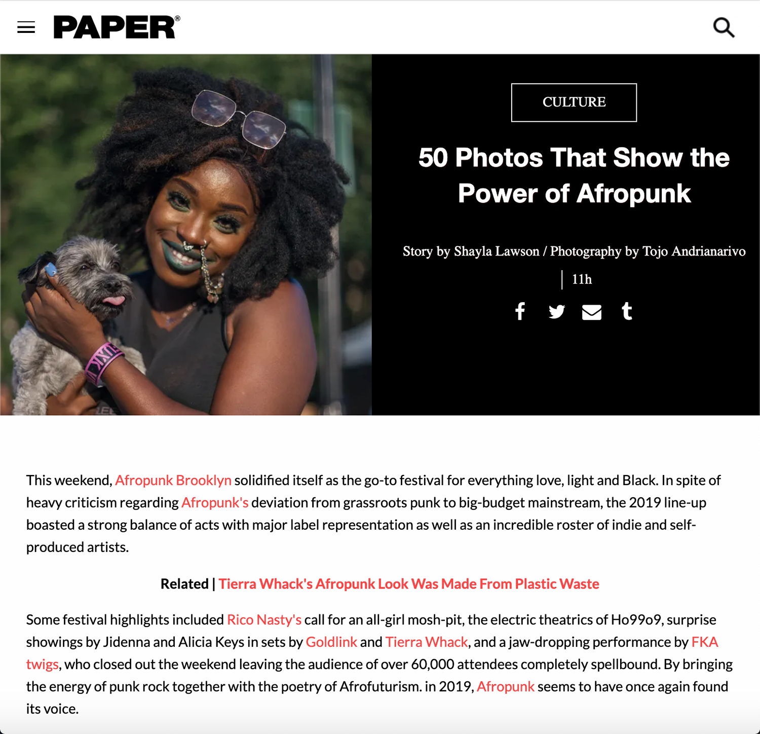 20190824-Afropunk2019_50photos_PaperMagazine.png