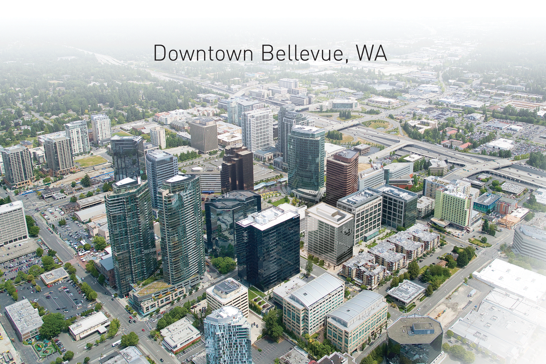 Bellevue-Downtown-Animation.gif