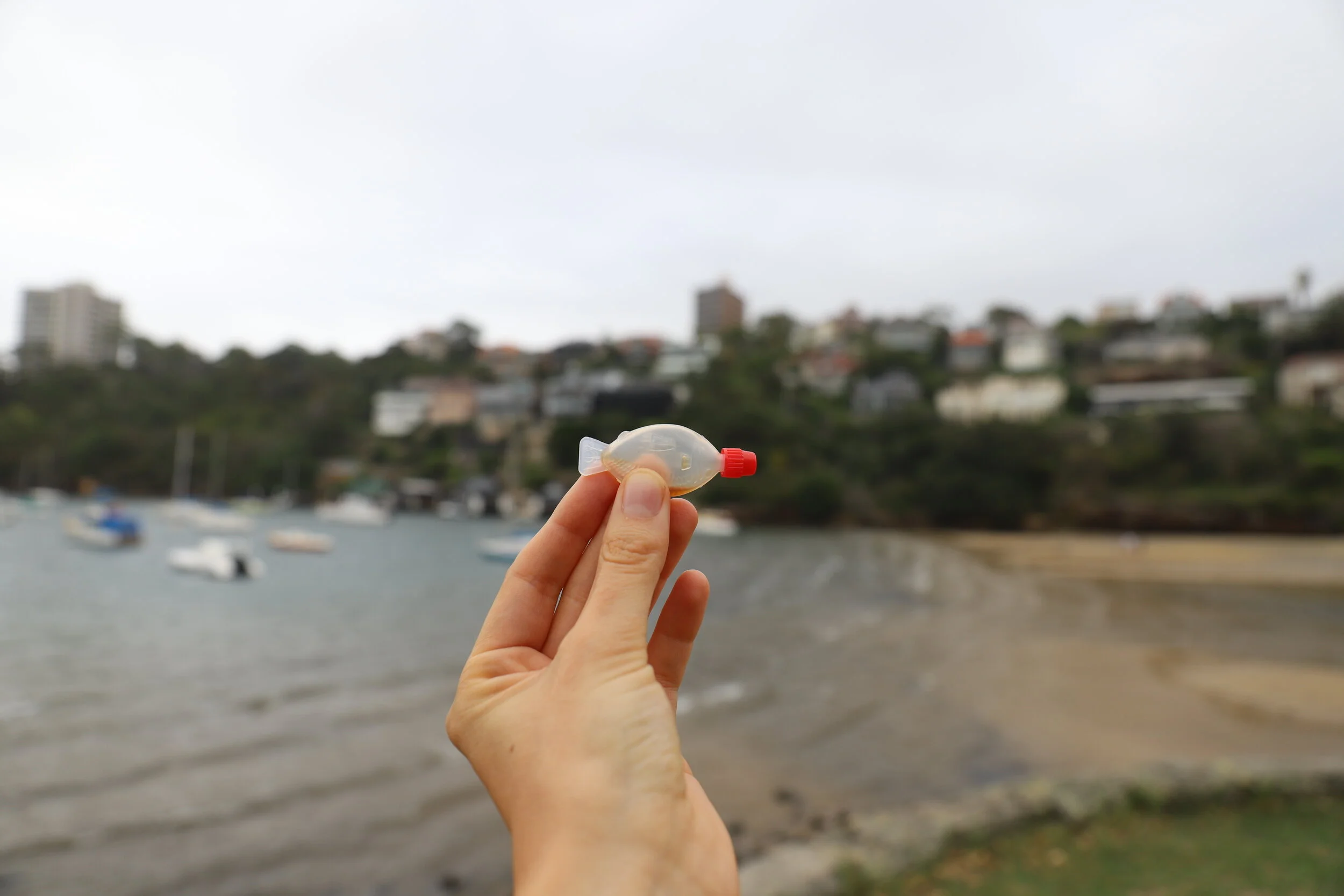 Could you go plastic free?