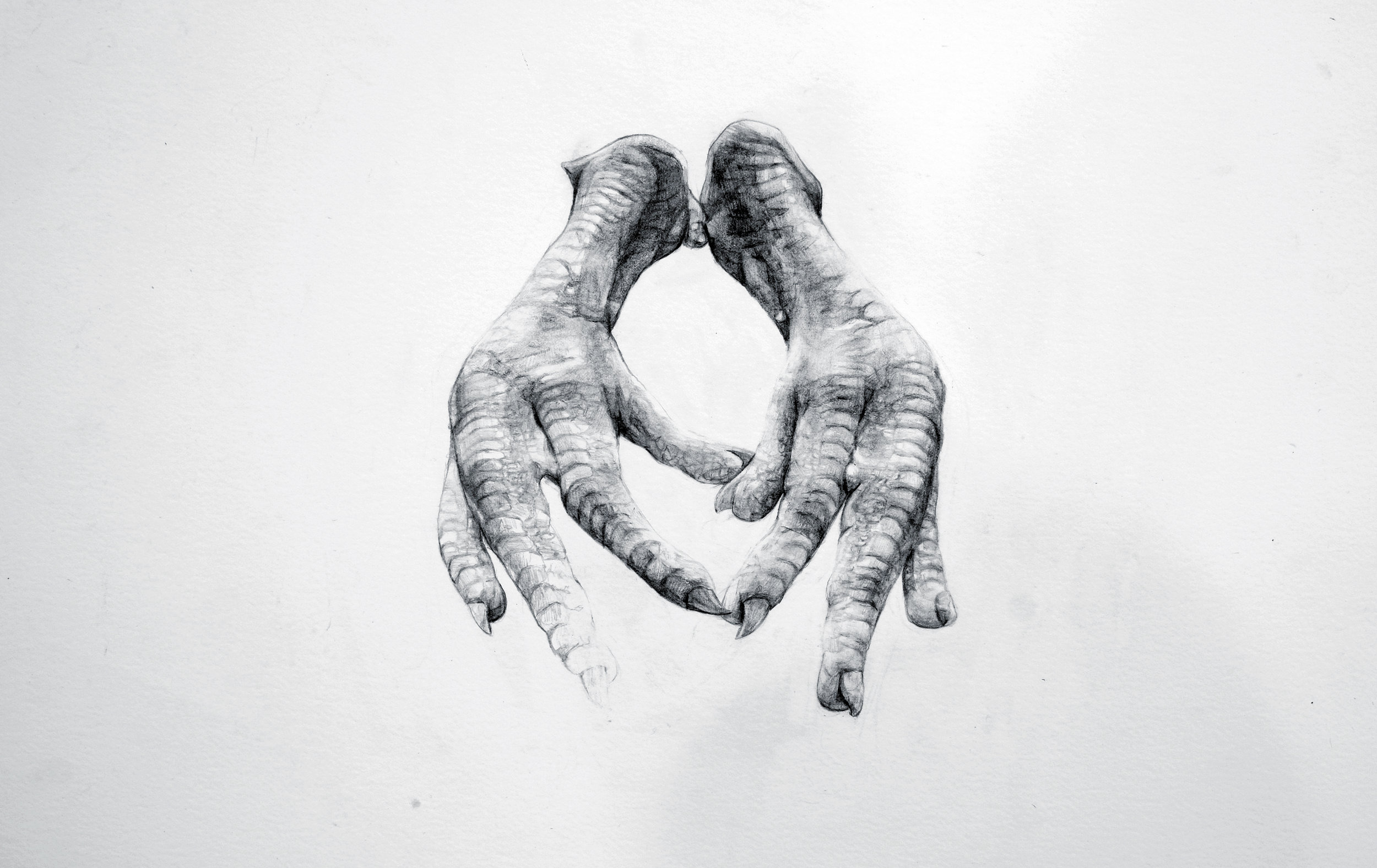 Graphite on Paper, 30cm x 50cm