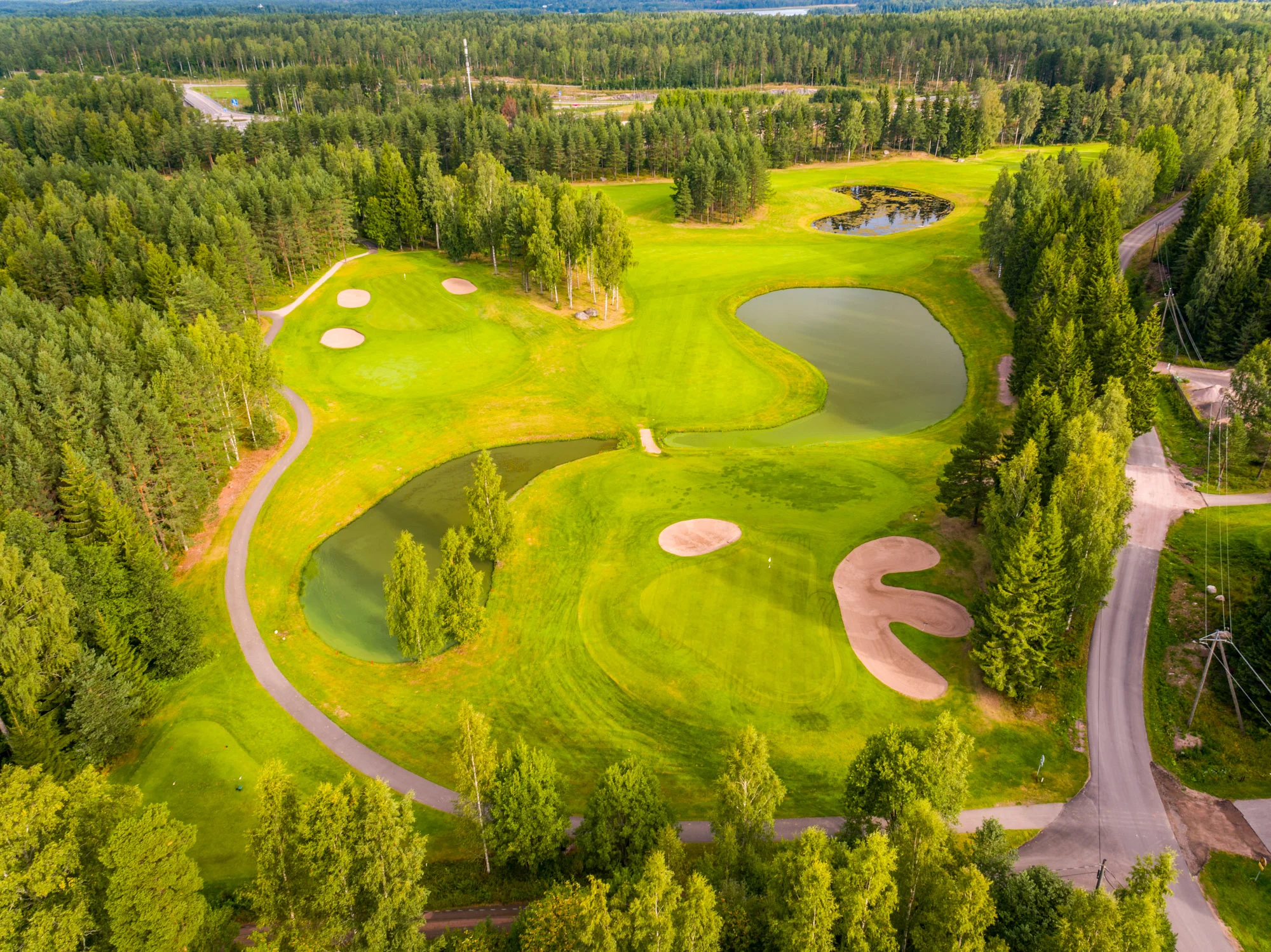 Sarfvik-8.jpg
