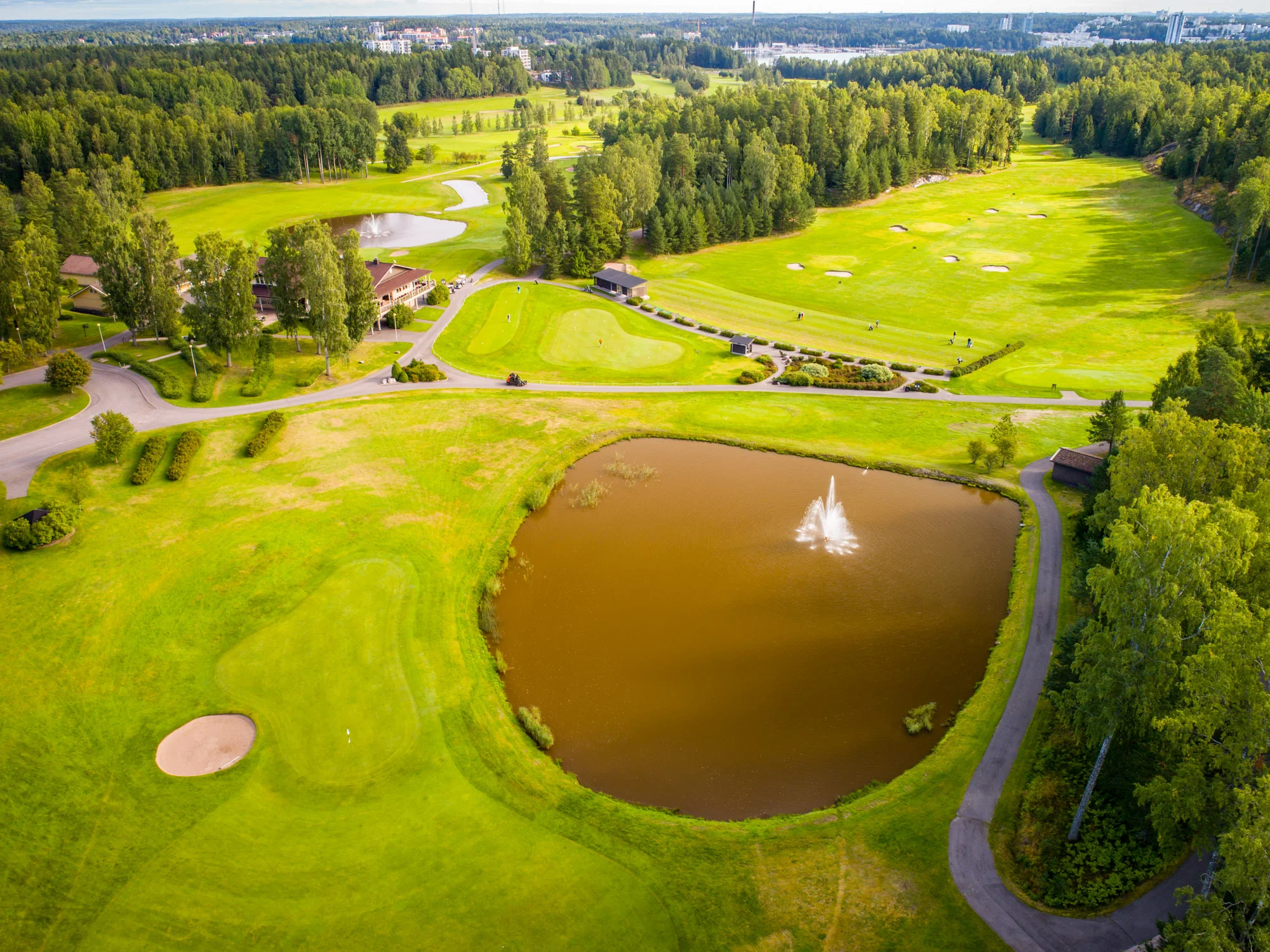 Sarfvik-18.jpg