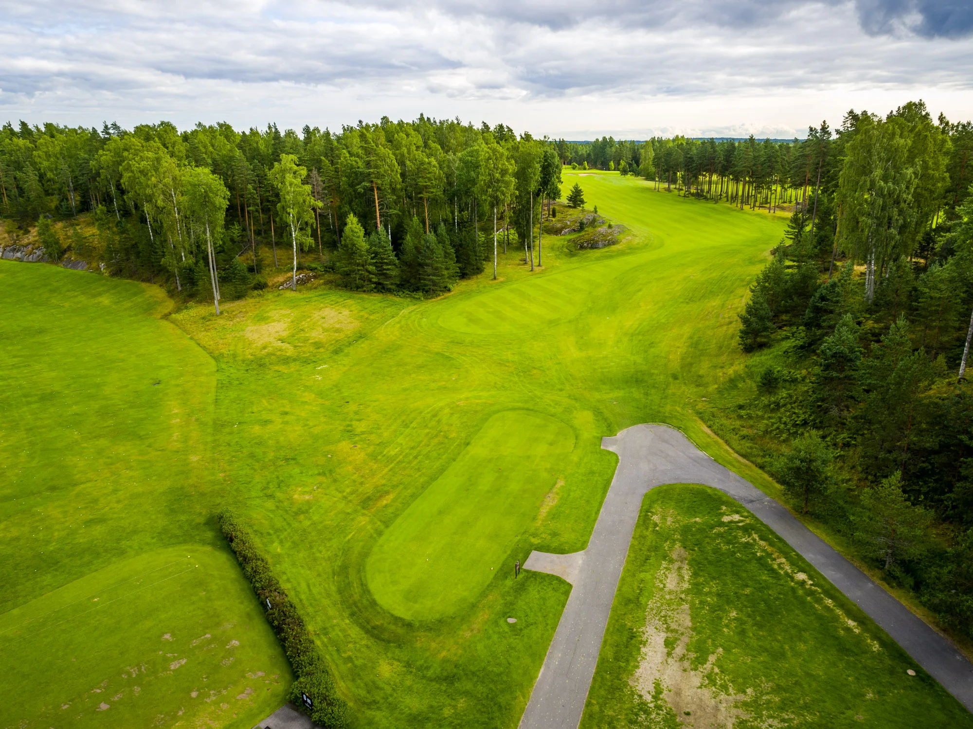 Sarfvik-37.jpg