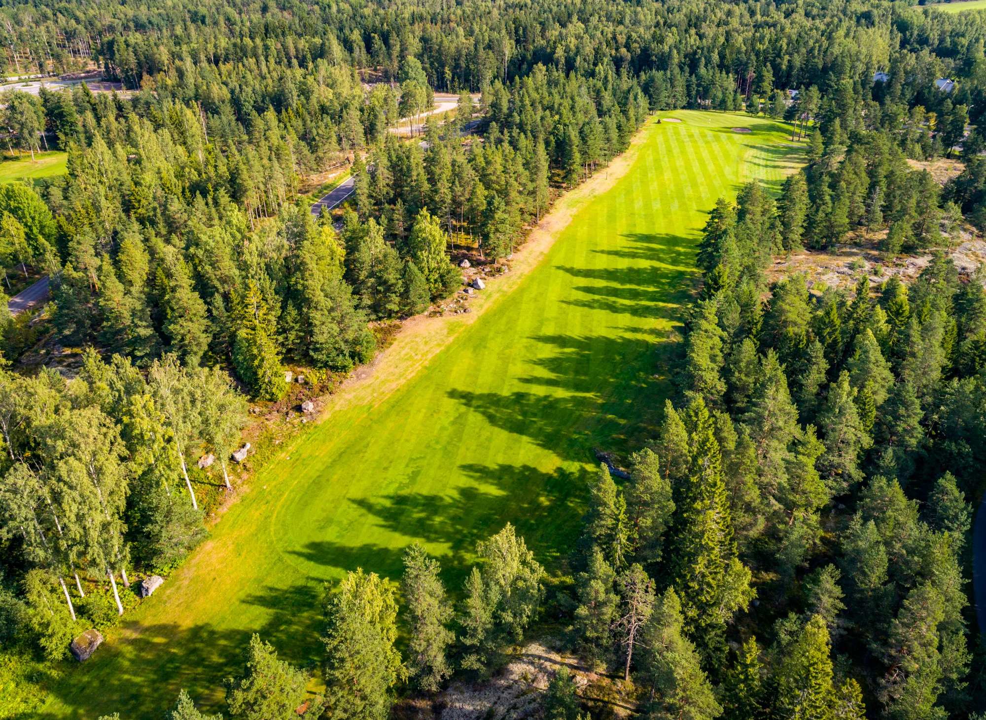 Sarfvik-53.jpg