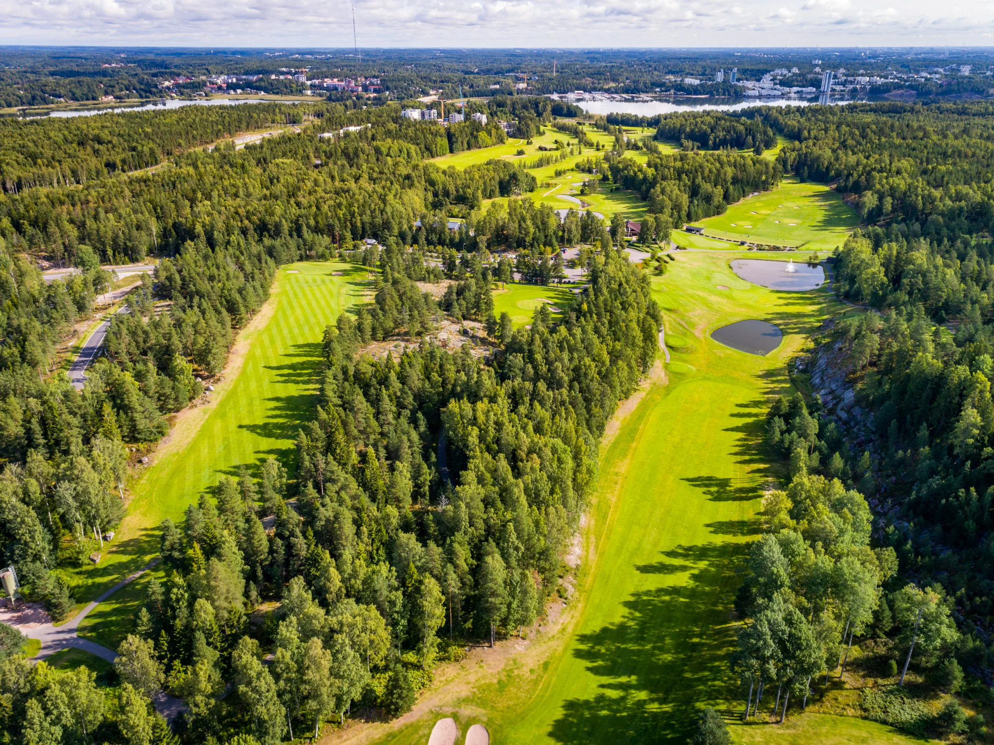 Sarfvik-80.jpg