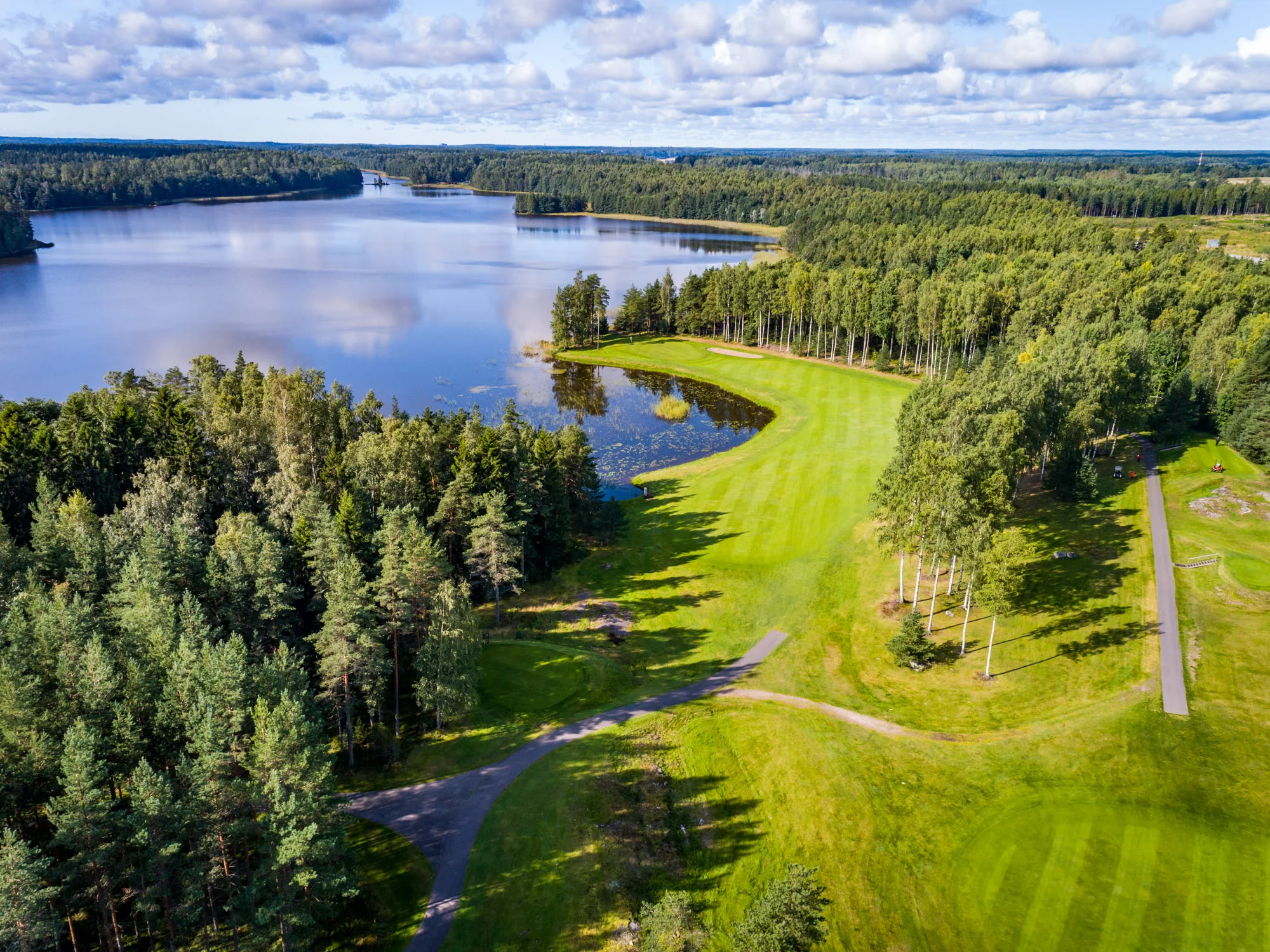 Sarfvik-84.jpg