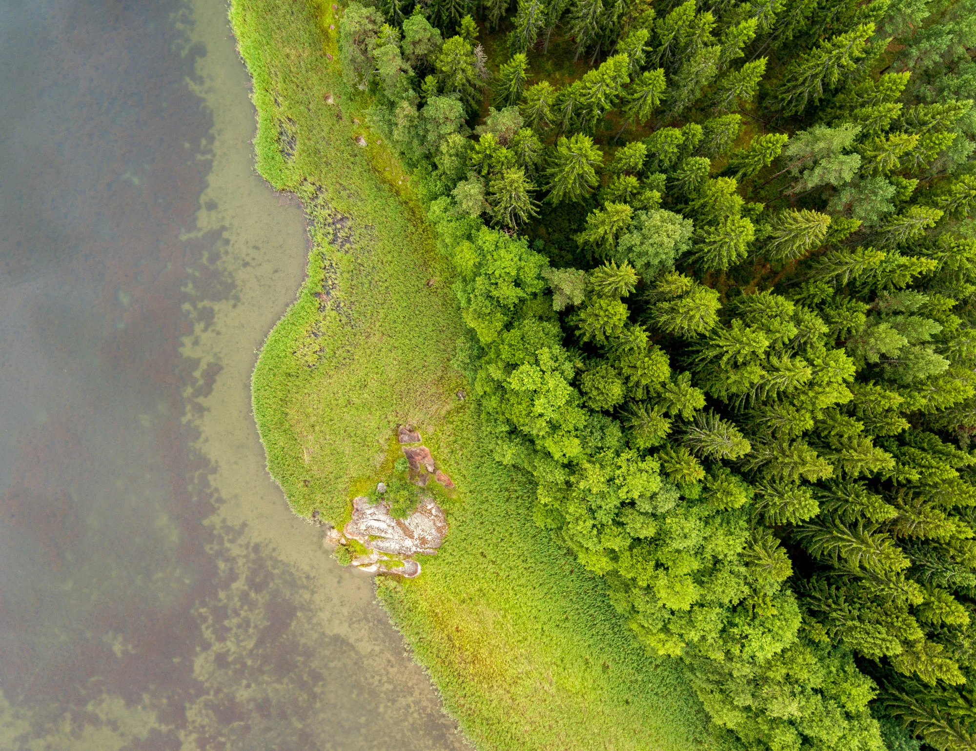 DJI_0025-Redigera.jpg