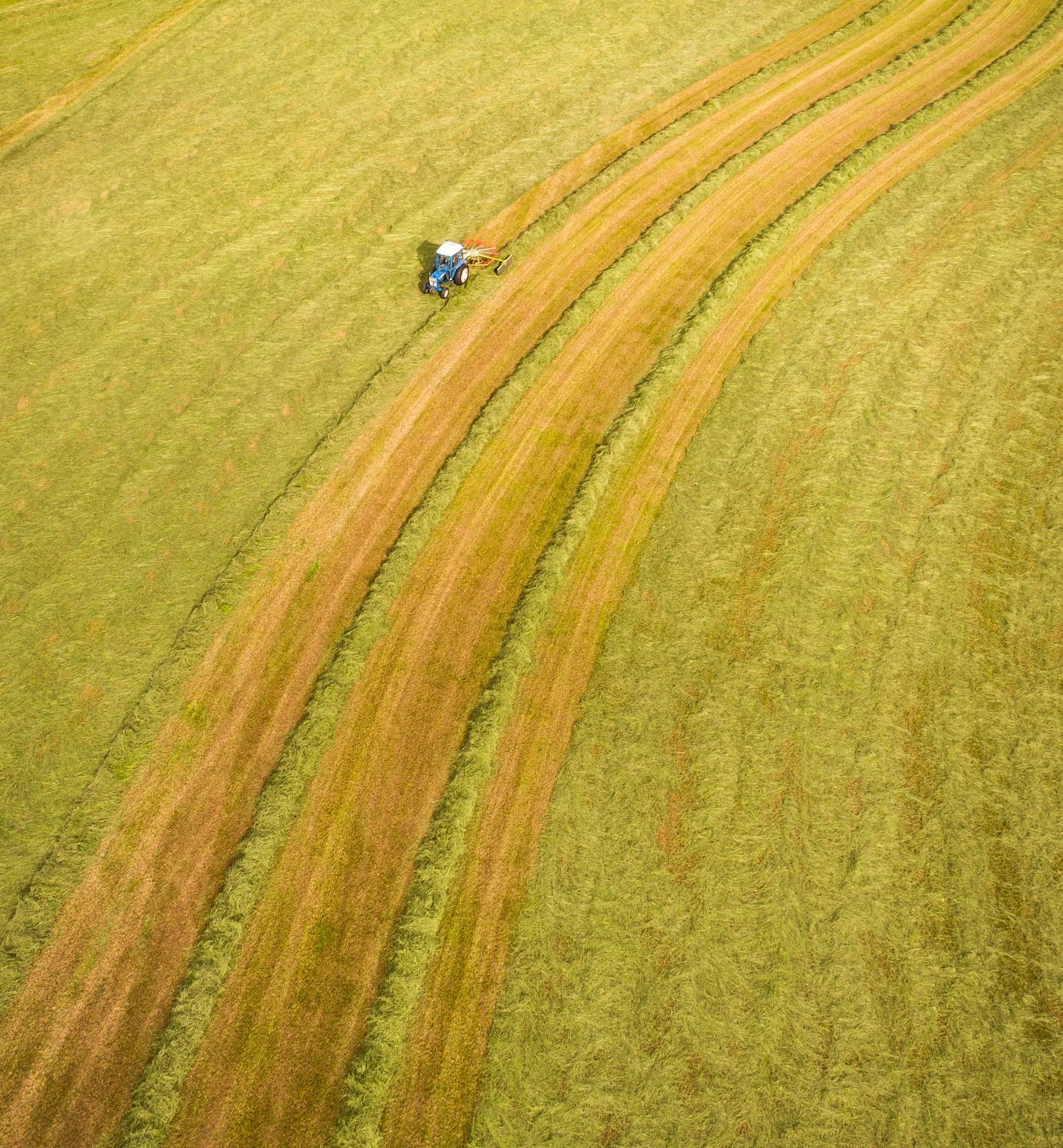 DJI_0047.jpg