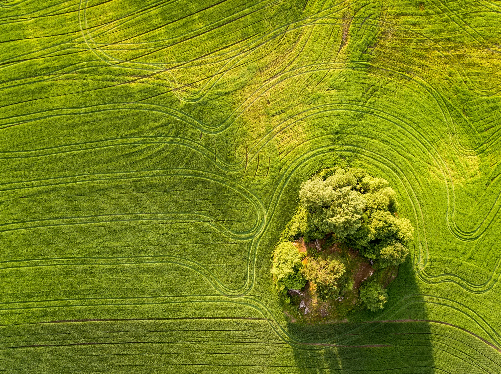 DJI_0215.jpg
