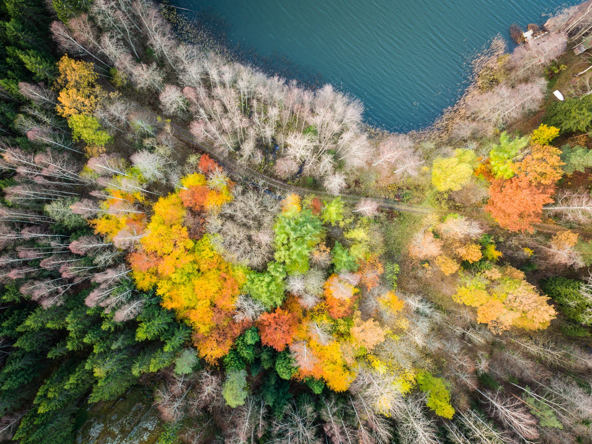 DJI_0779.jpg