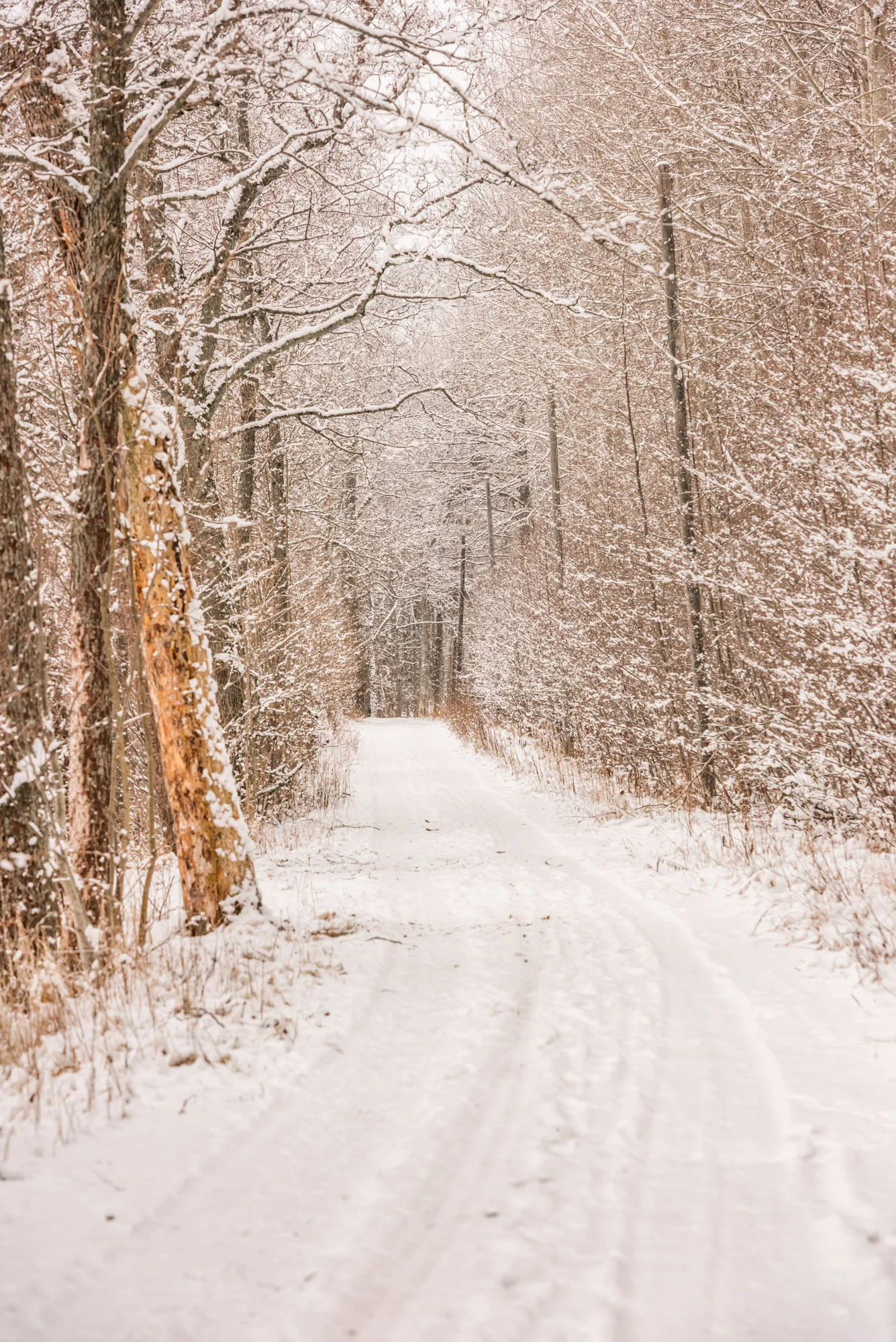 Fiskars_vinter_multifoto-63.jpg