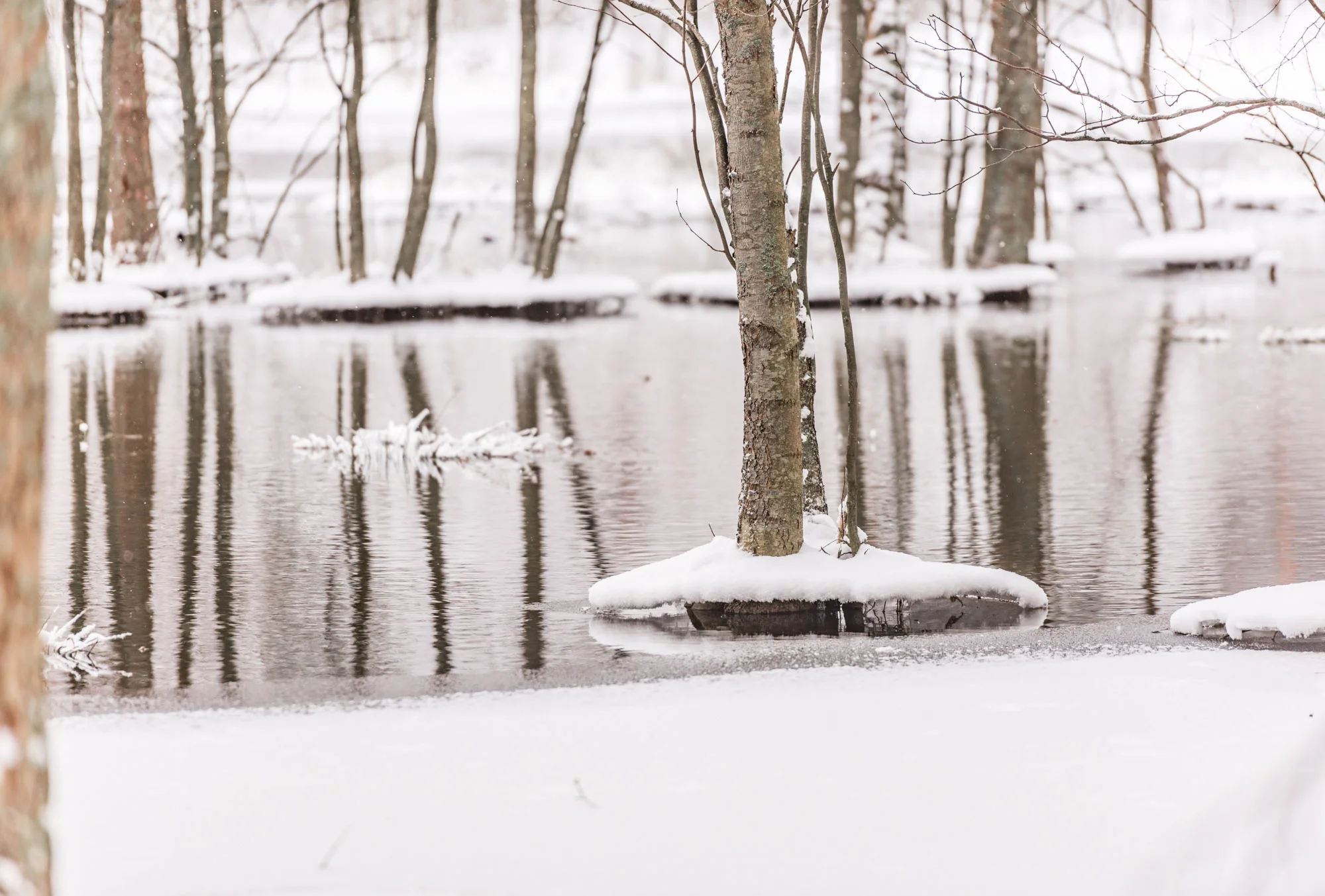 Fiskars_vinter_multifoto-68.jpg