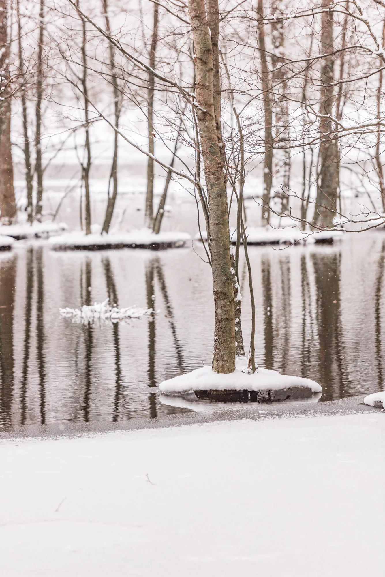 Fiskars_vinter_multifoto-67.jpg