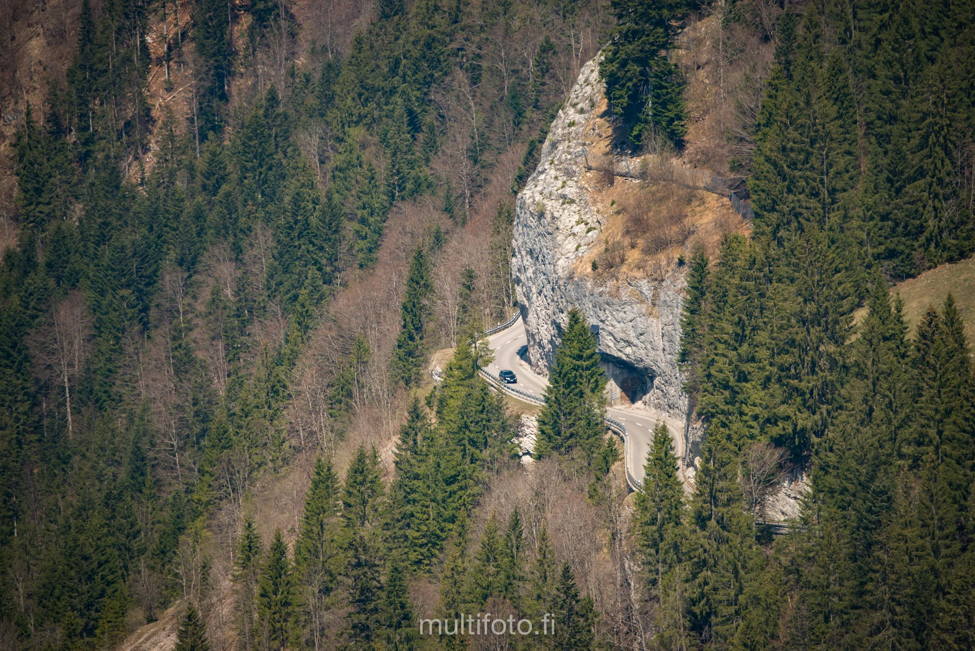 _DSC5685.jpg