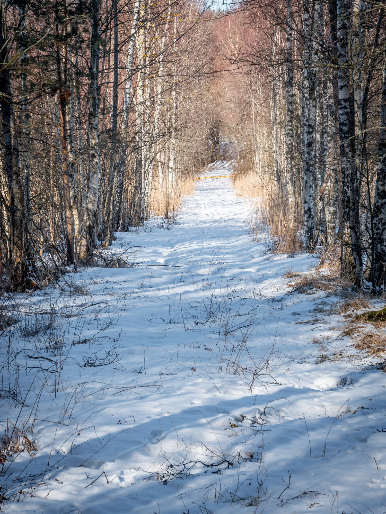 Rödgrund-49.jpg