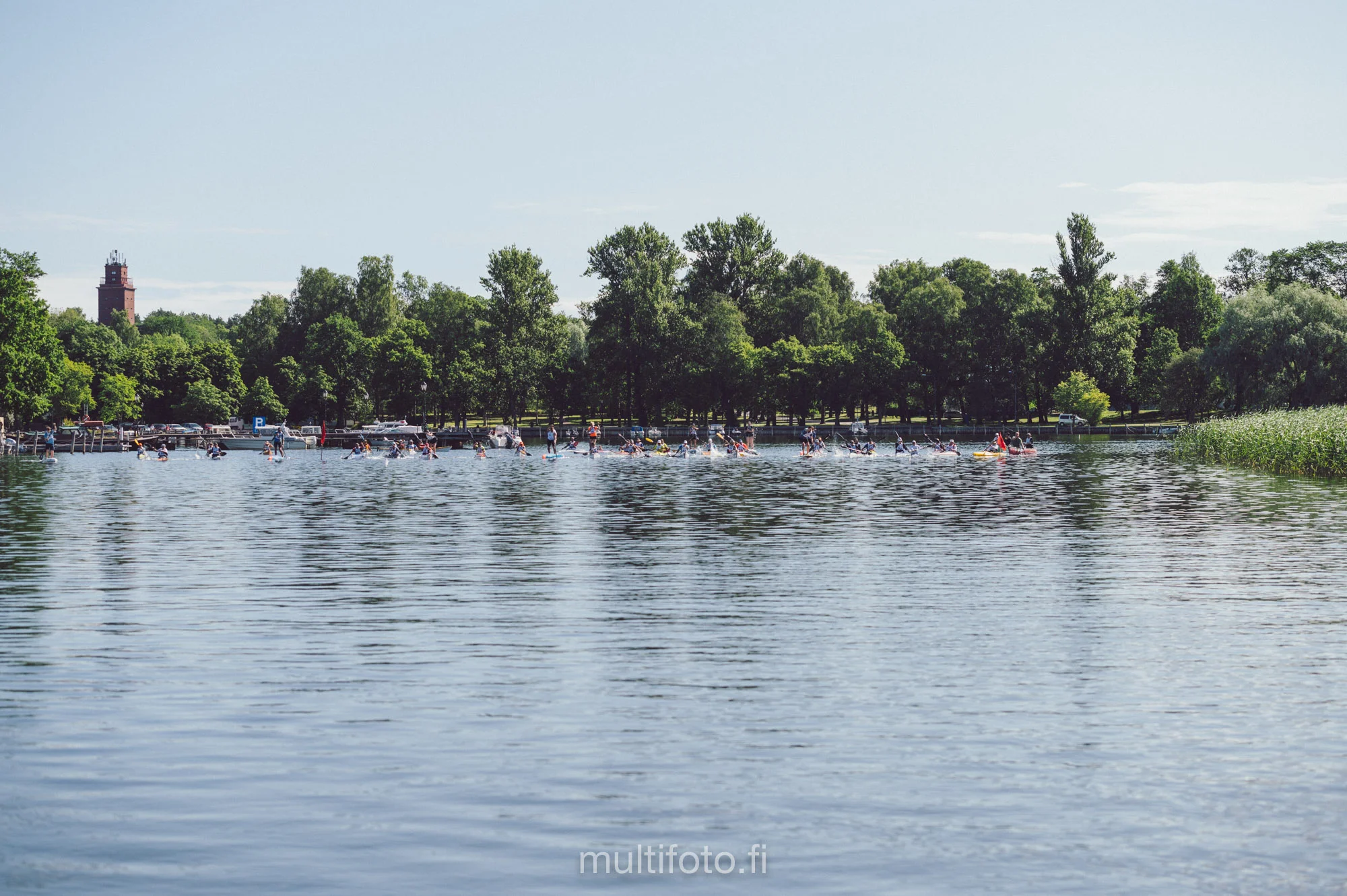 gullörunt19-37.jpg