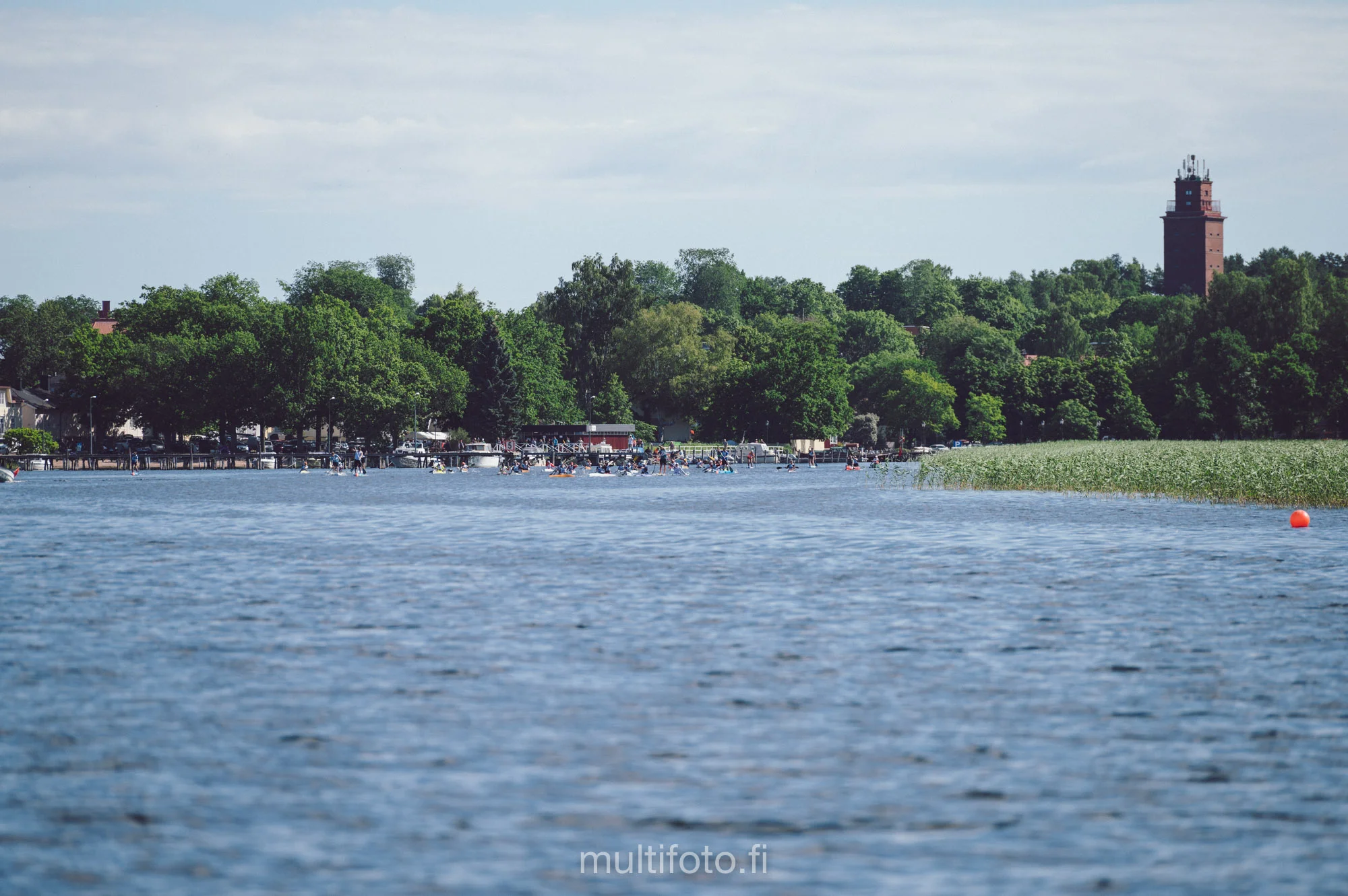 gullörunt19-39.jpg