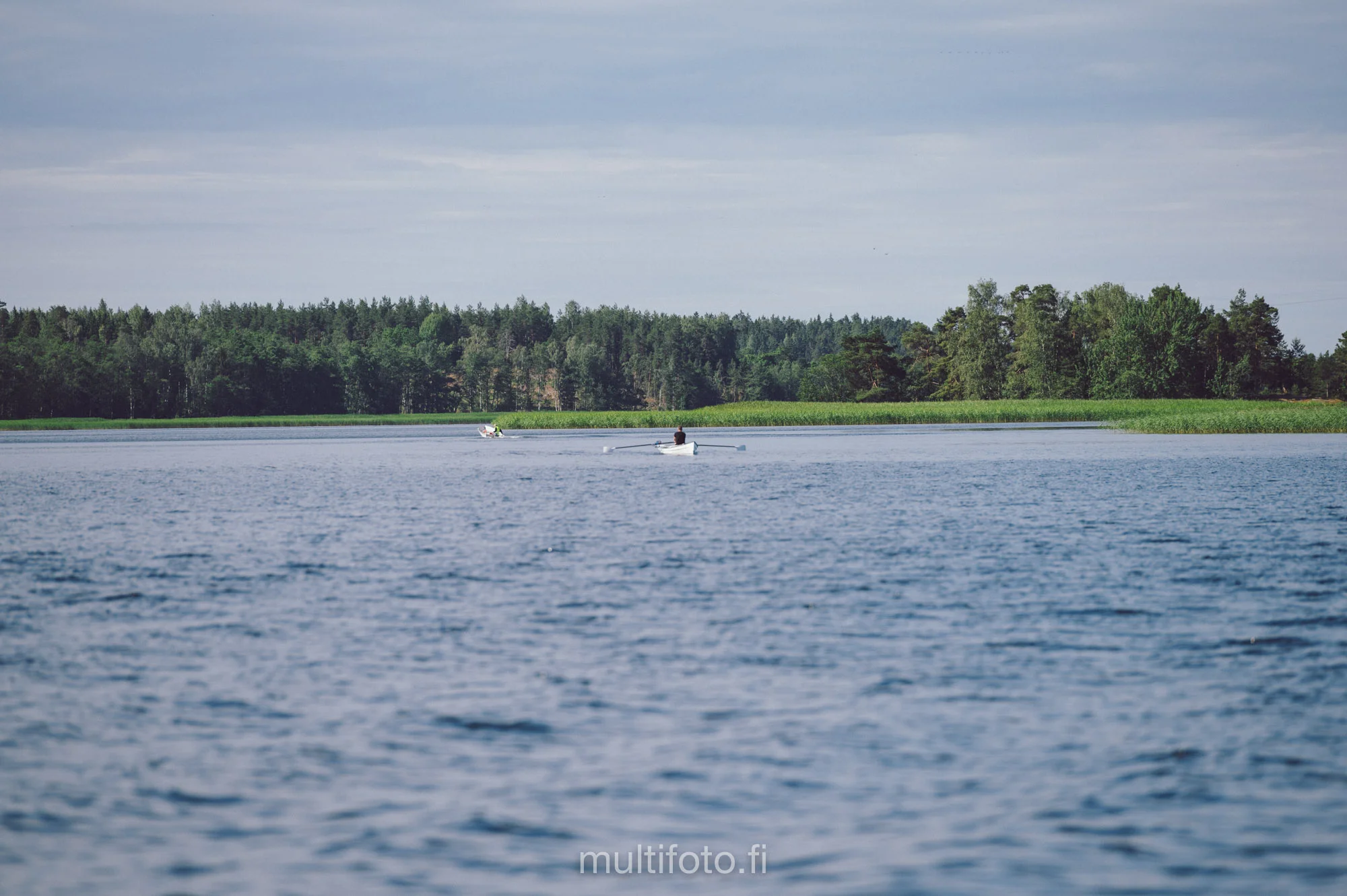 gullörunt19-43.jpg