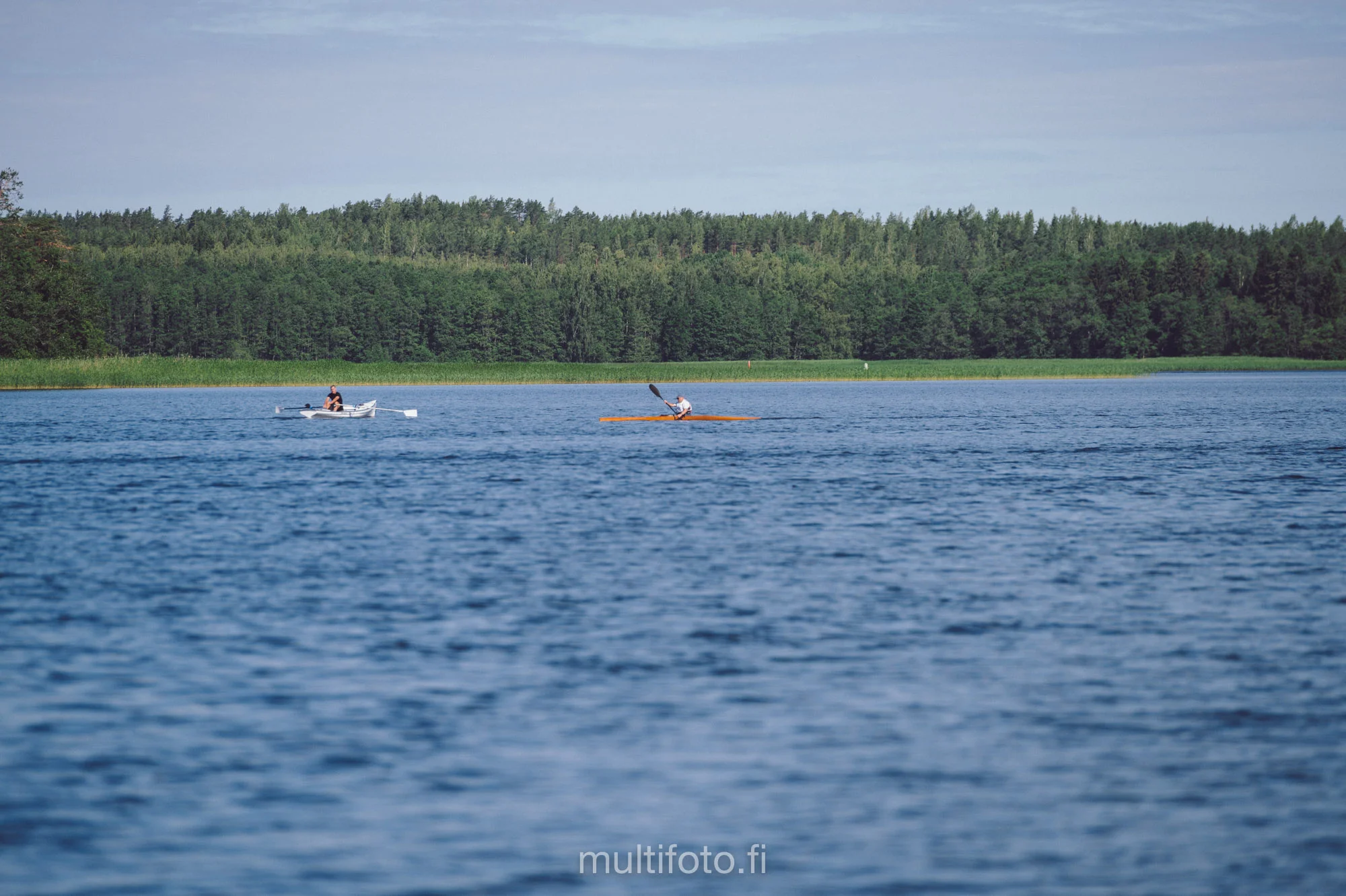 gullörunt19-46.jpg