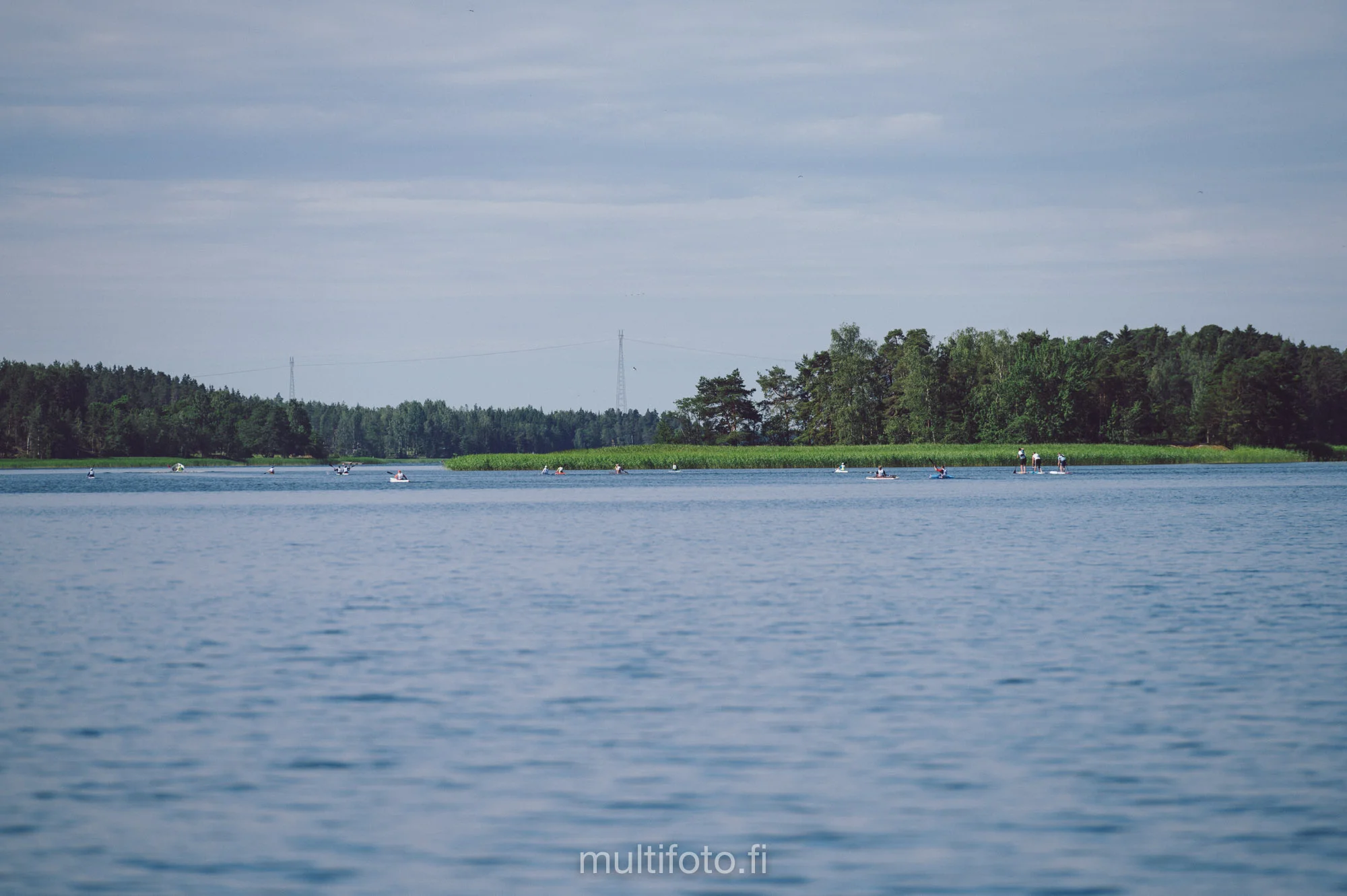 gullörunt19-51.jpg
