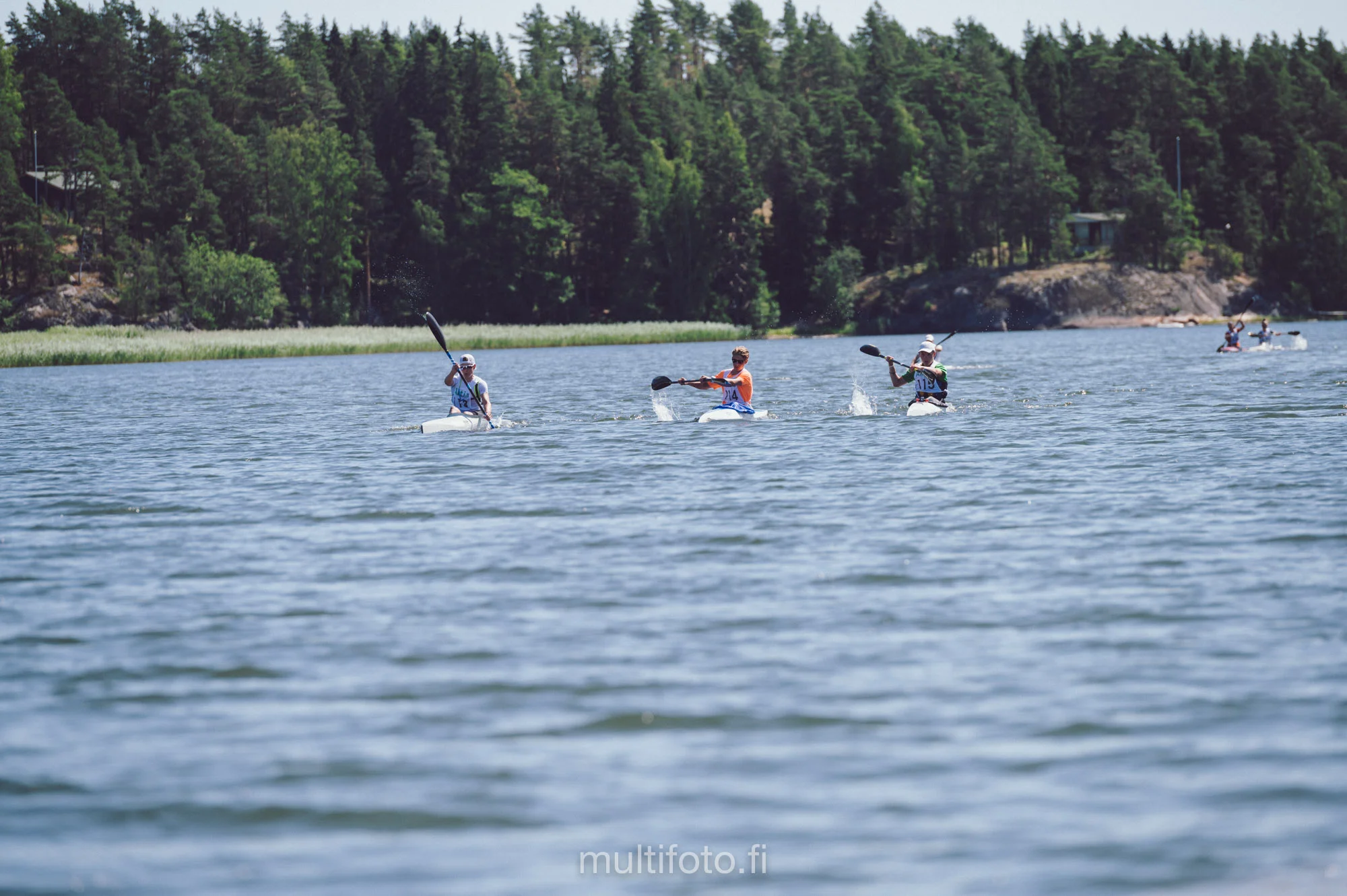 gullörunt19-75.jpg