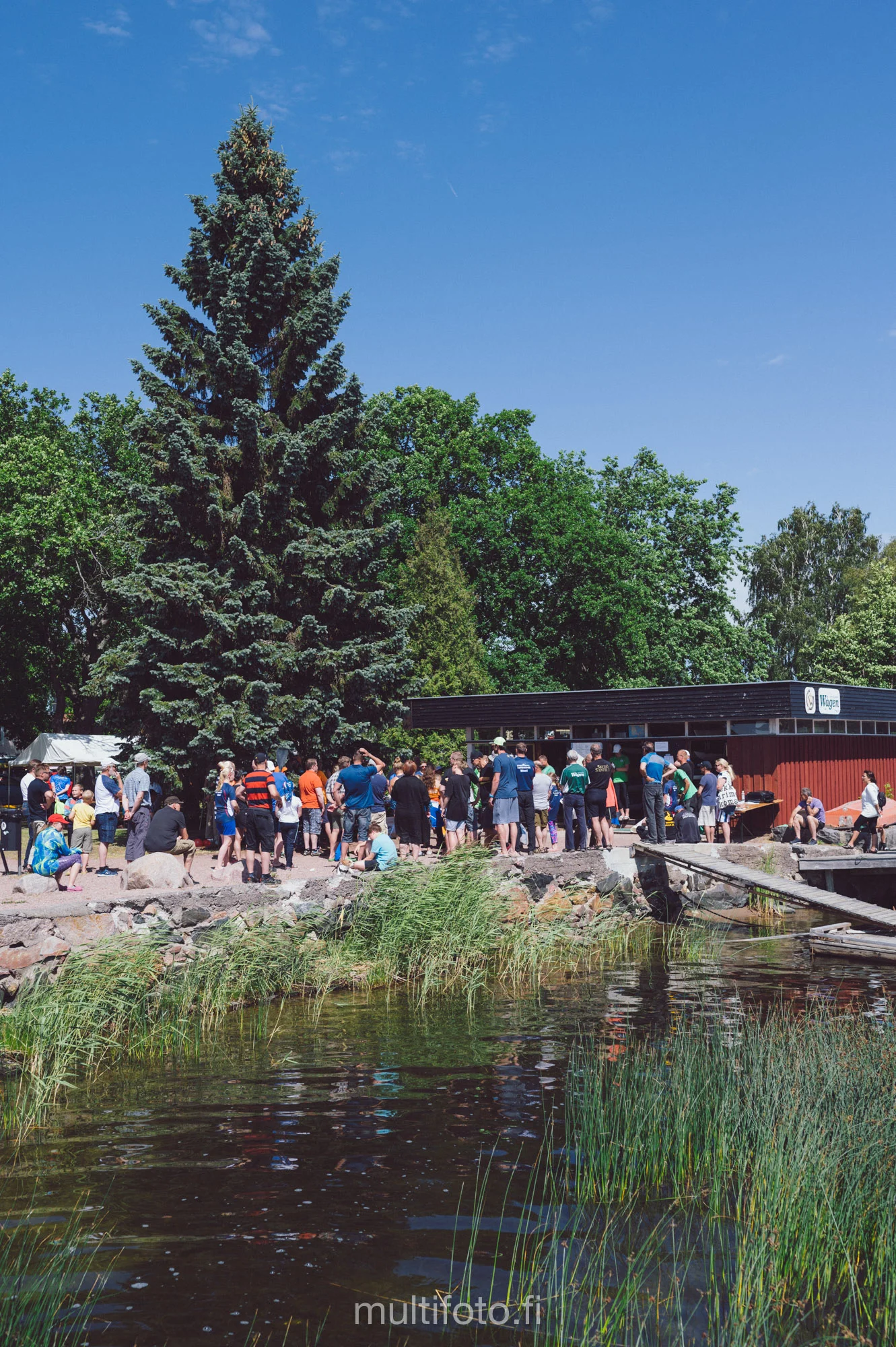 gullörunt19-97.jpg