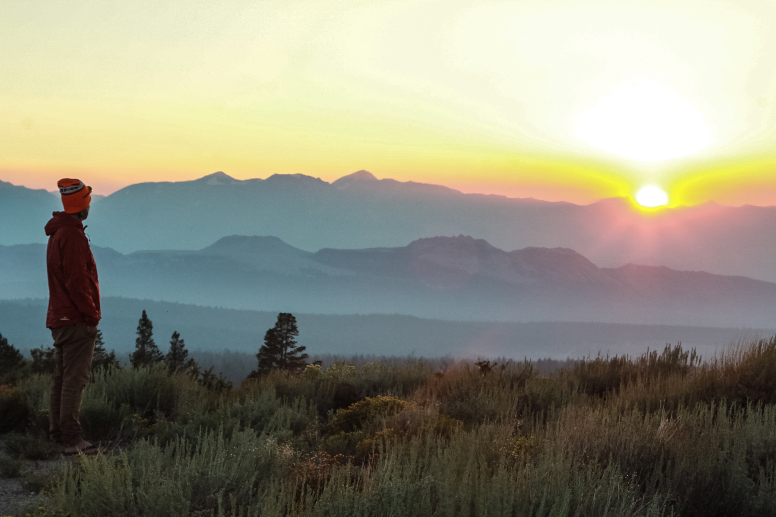 Epic Camping SPot Jeffery Pines (4 of 4).jpg