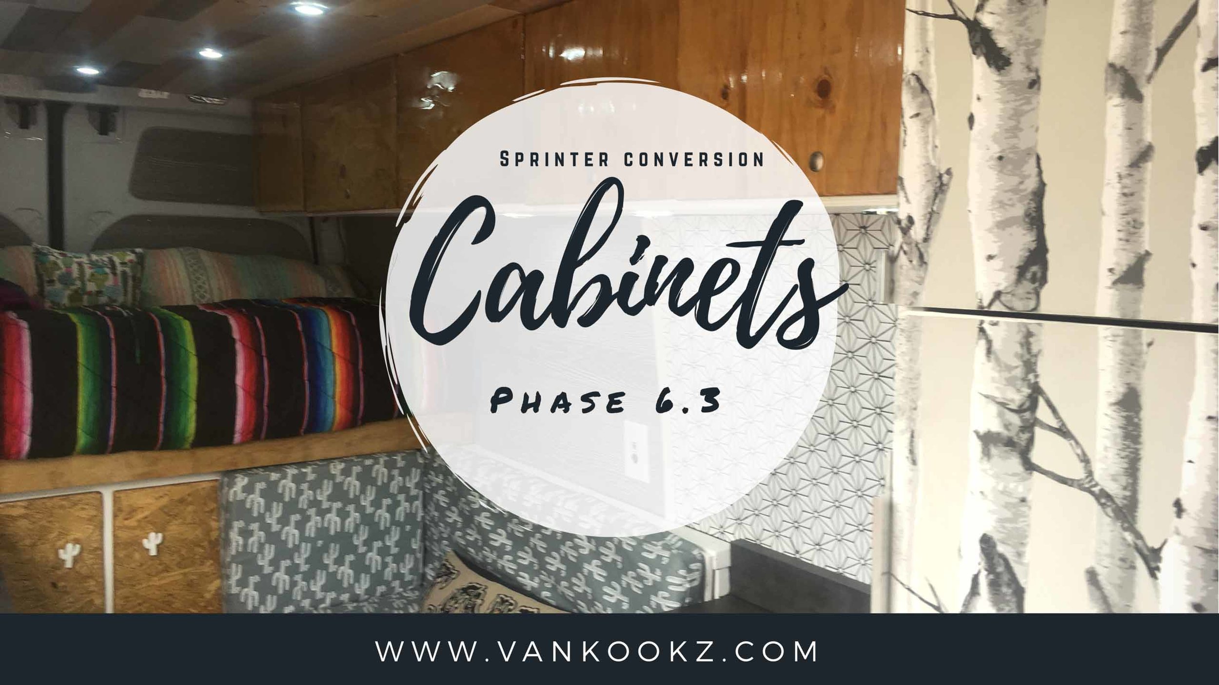Cabinets Sprinter Van (1 of 1).jpg