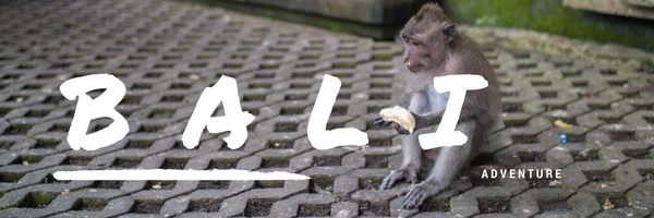 1.+Bali+Adventure+(Banner)+.png