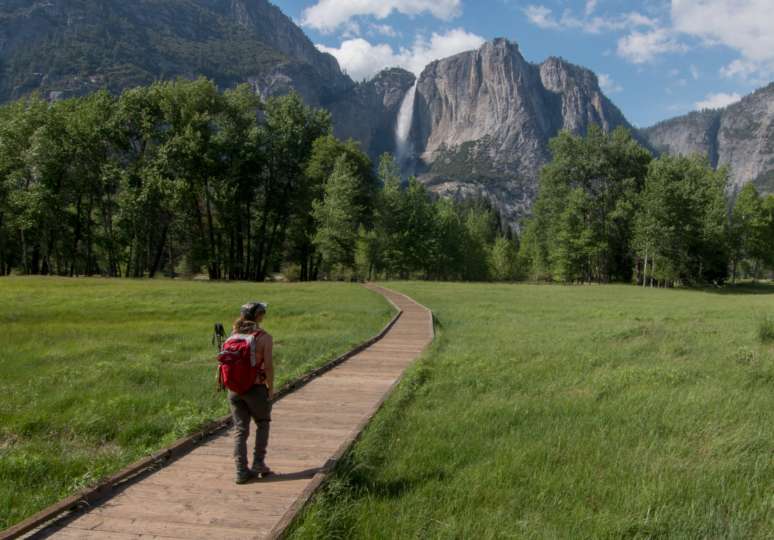 yosemite falls trail 