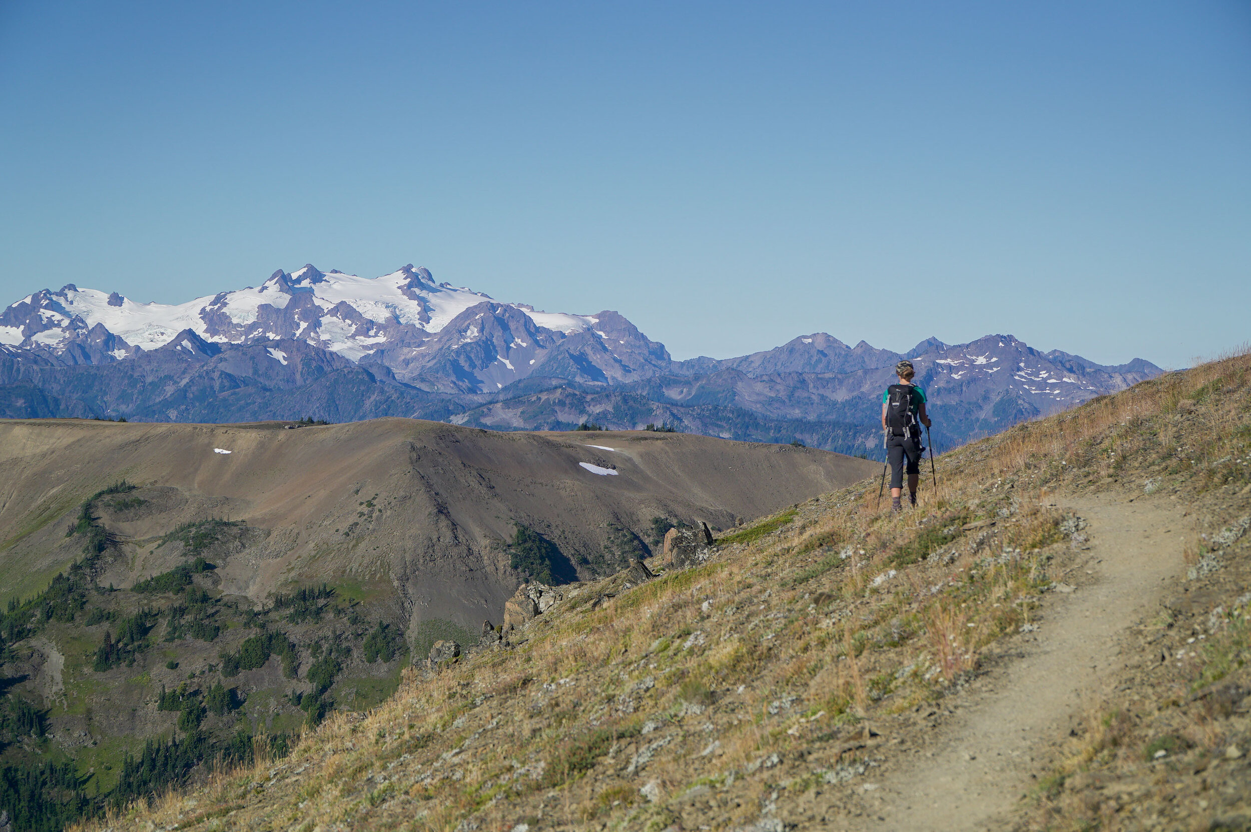 Obstruction Point Hiking Olympic National Park (1 of 5).jpg