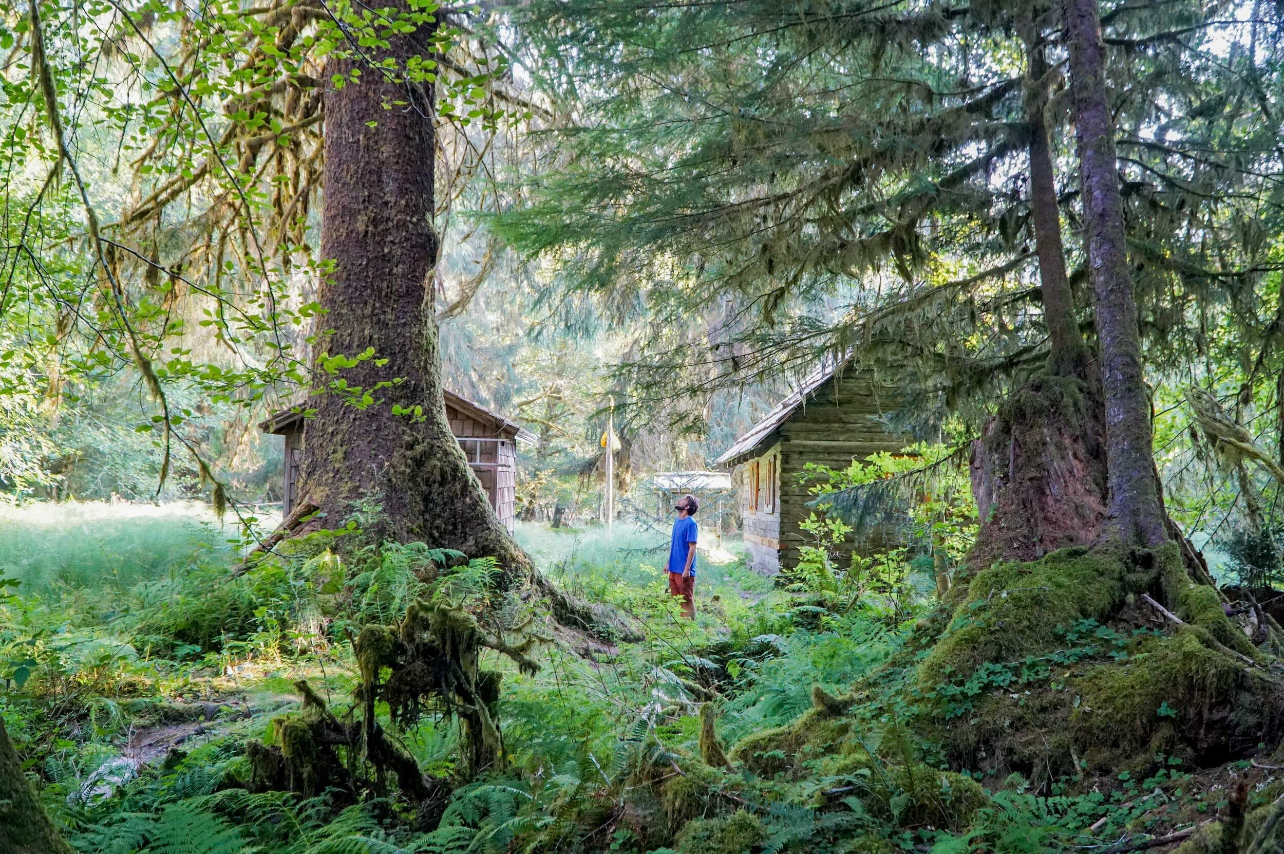 Backpacking the Hoh RIver Trail to the Blue Glacier Olympic National Park Washington  (14 of 30).jpg