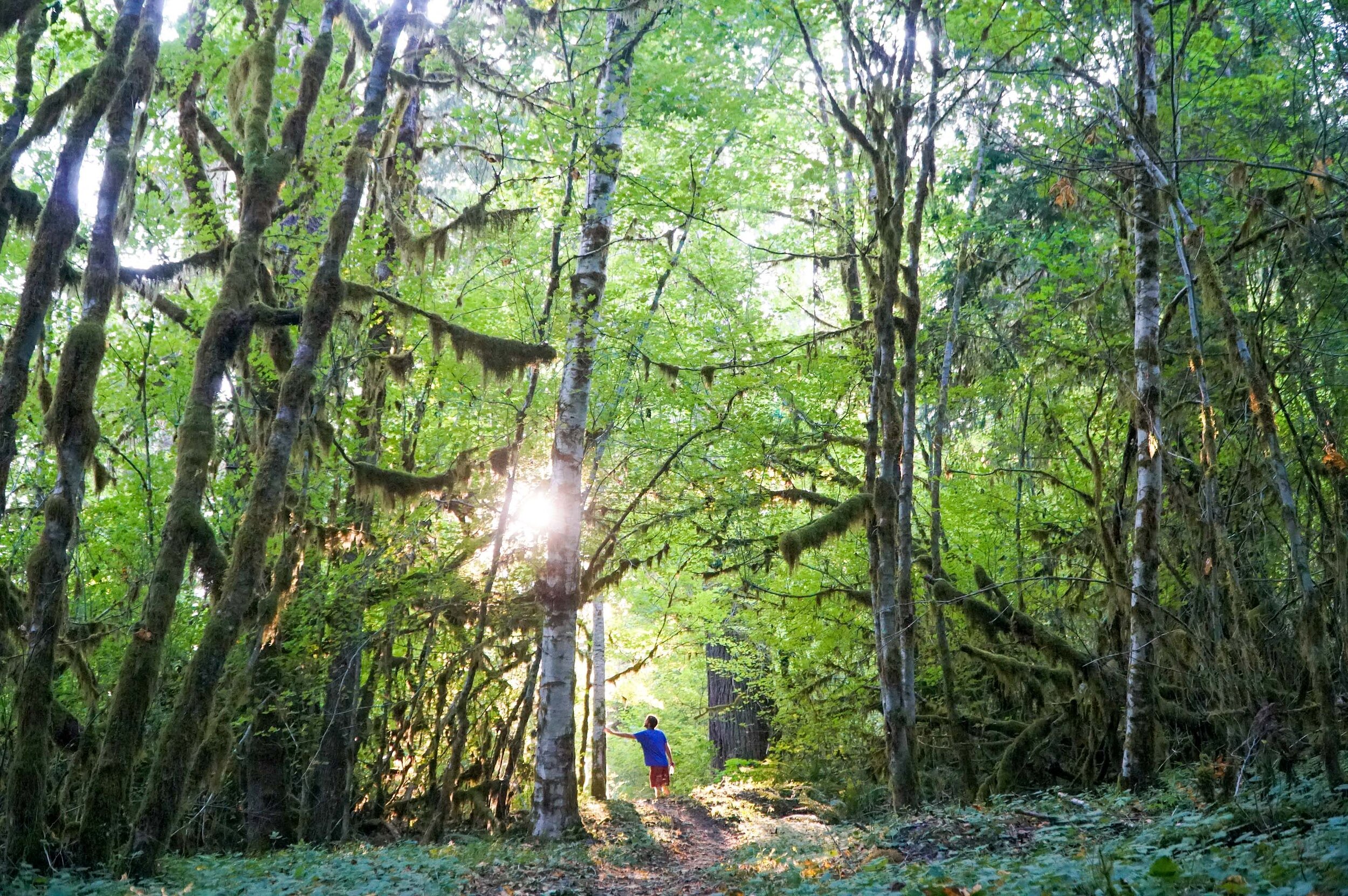 Backpacking the Hoh RIver Trail to the Blue Glacier Olympic National Park Washington  (17 of 30).jpg